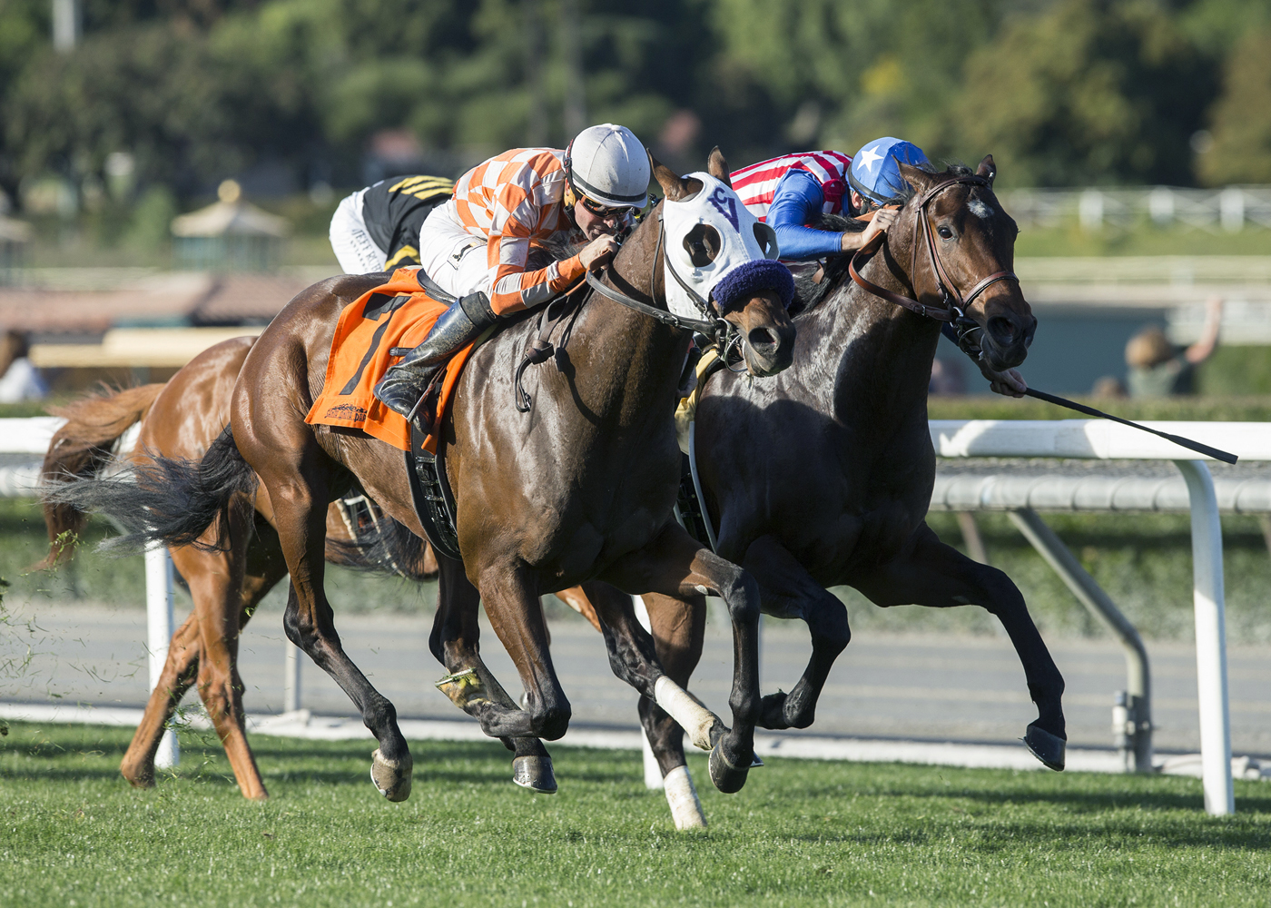 Pubilius Syrus wins the 2017 Eddie Logan Stakes