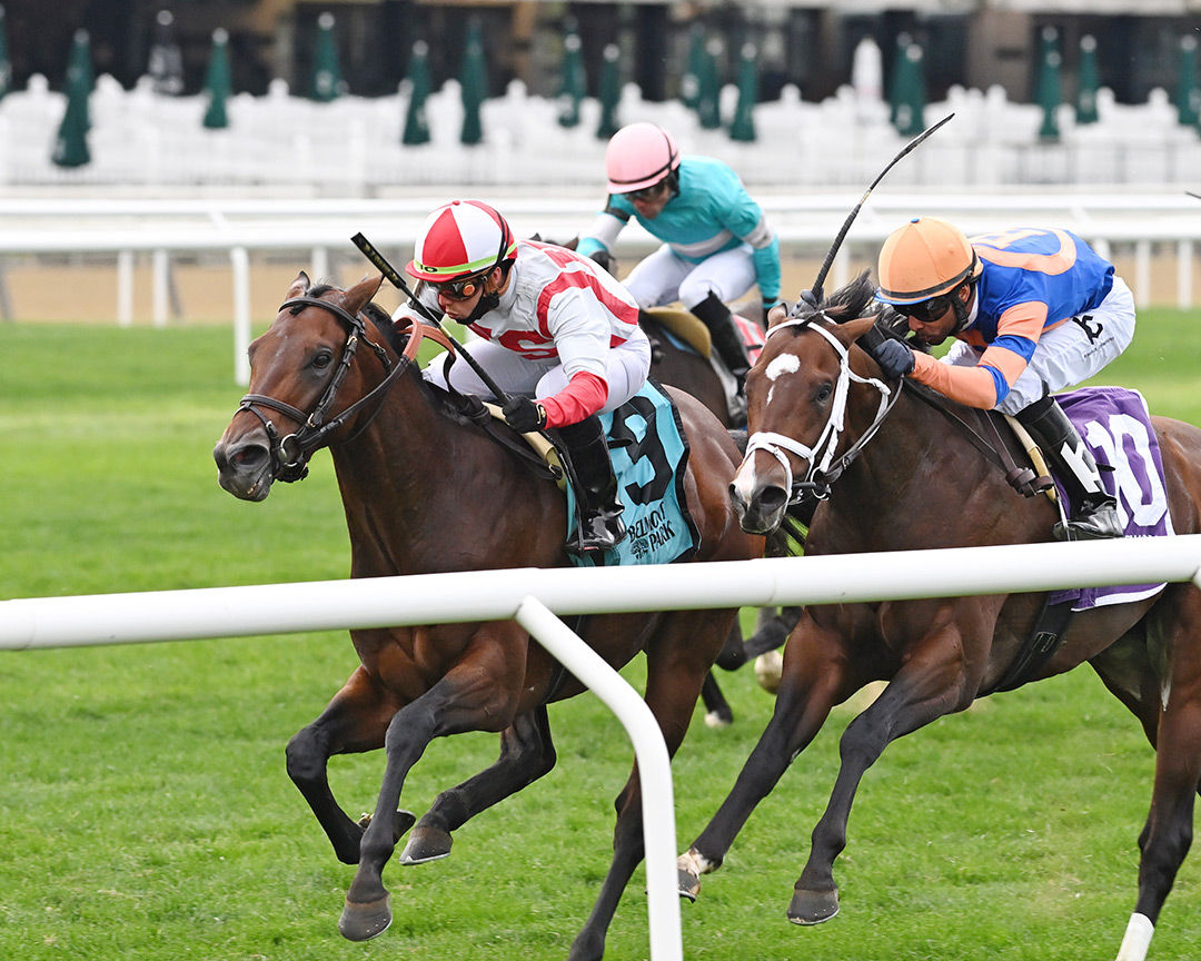 Never Surprised (right) finishes second in the 2021 Hill Prince Stakes at Belmont Park