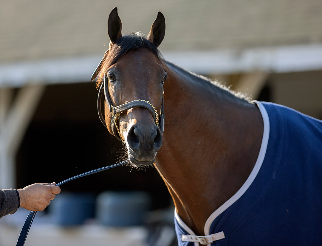 Public Sector at Churchill Downs on April 27