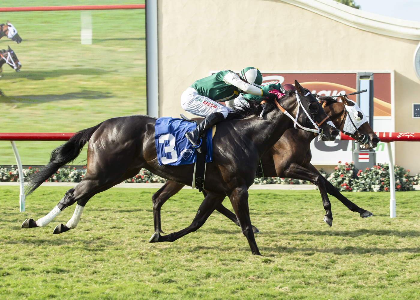Pulpit Rider (right) wins Solana Beach 8-15-2021