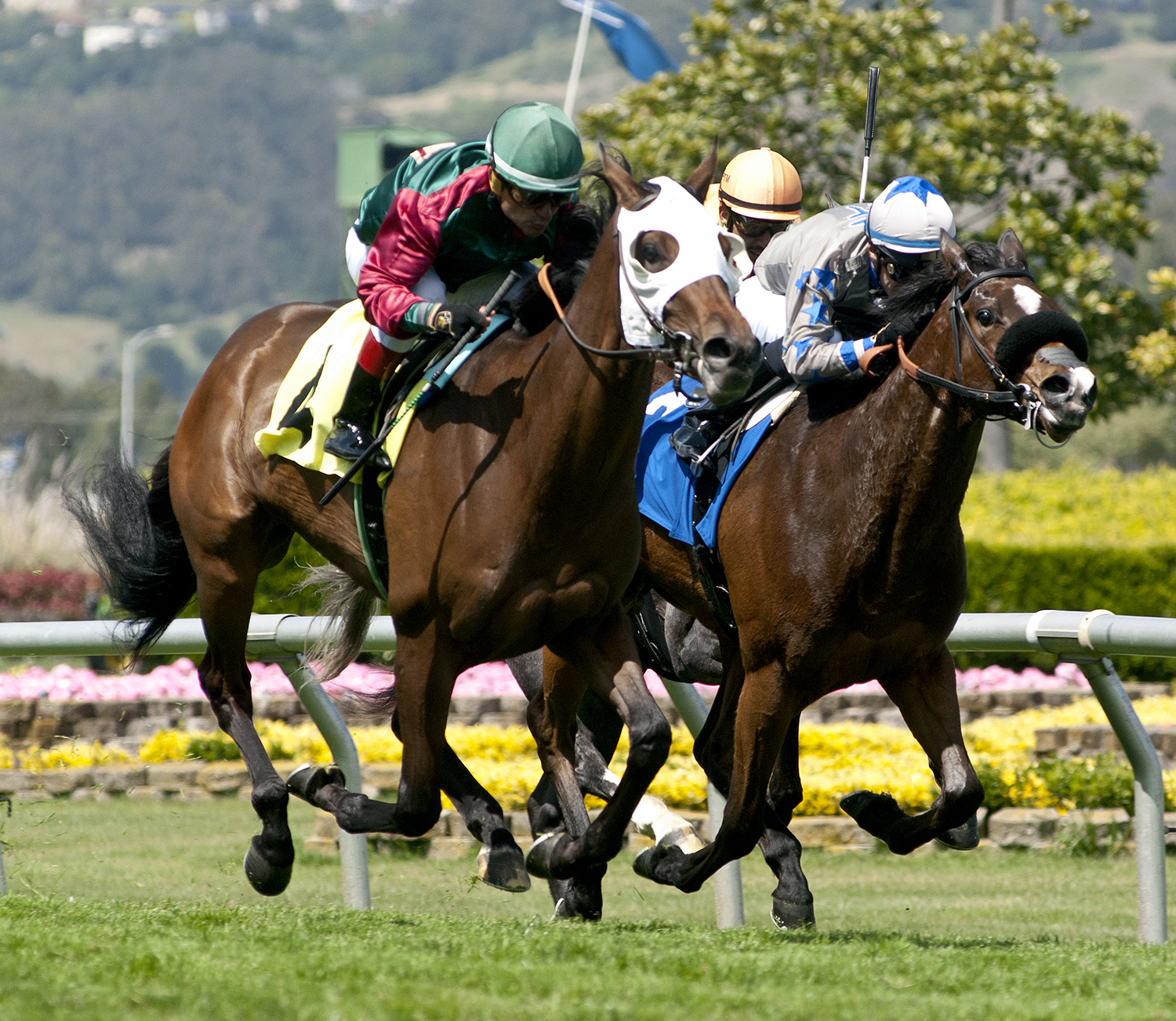 Pulpit Rider wins the 2018 Campanile Stakes