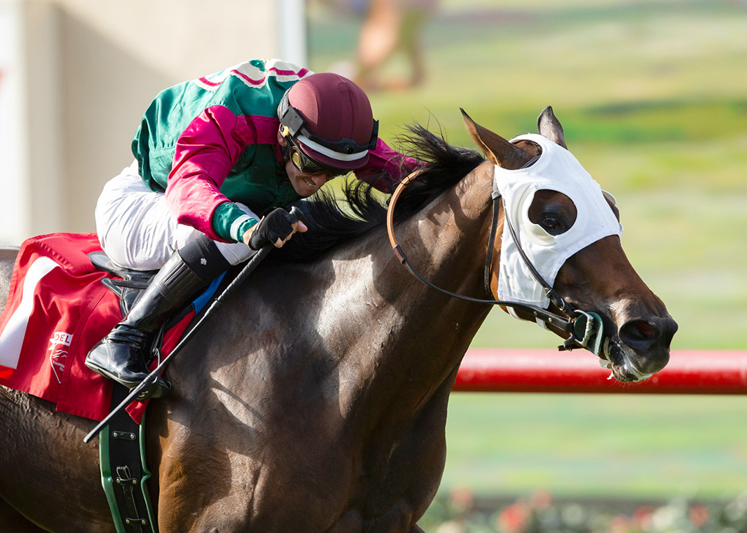 Pulpit Rider wins the 2021 Solana Beach Stakes at Del Mar