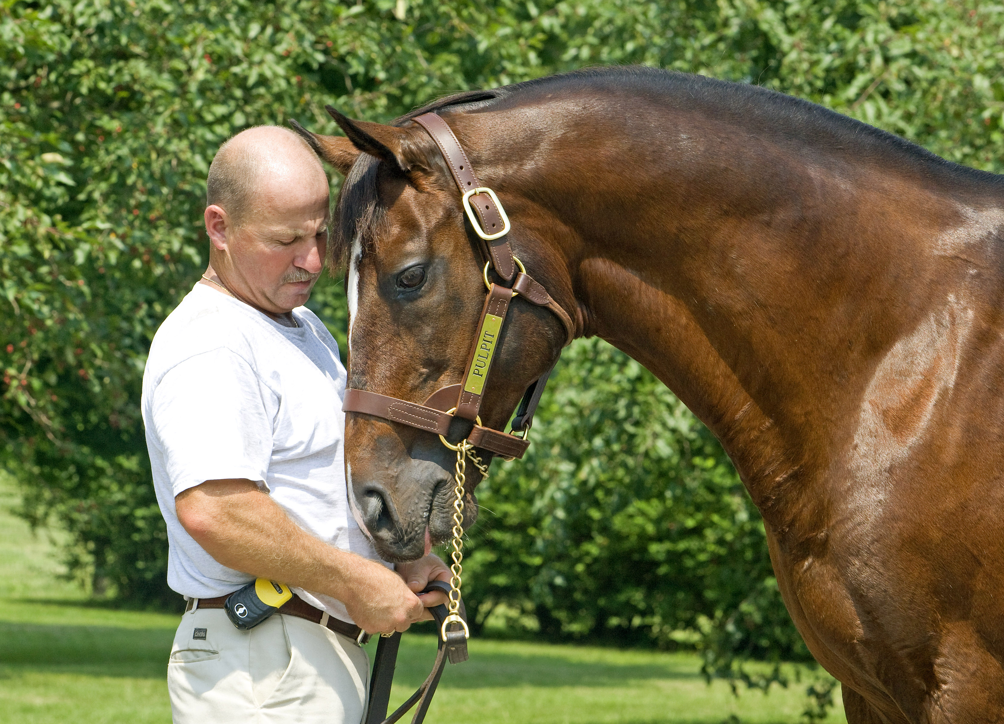 Pulpit at Claiborne Farm - June 2010