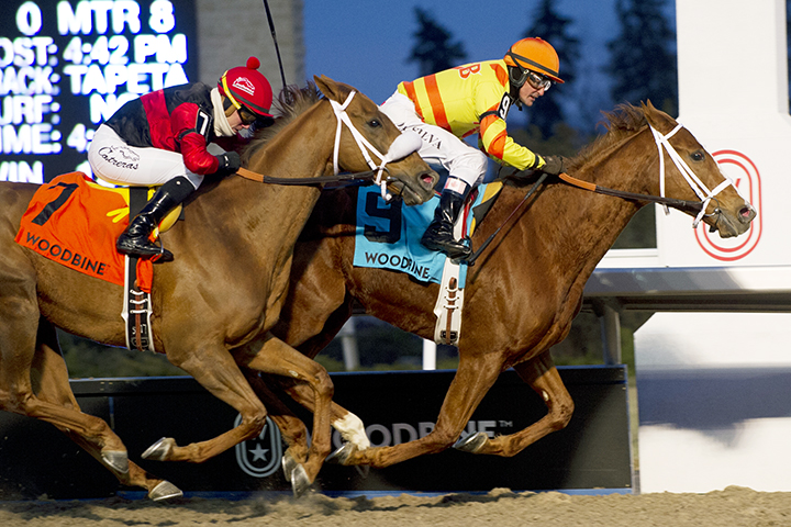 Pumpkin Rumble wins the 2018 Valedictory Stakes