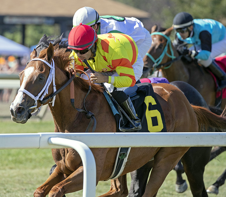 Pumpkin Rumble wins the 2019 Alphabet Soup Handicap at Parx Racing