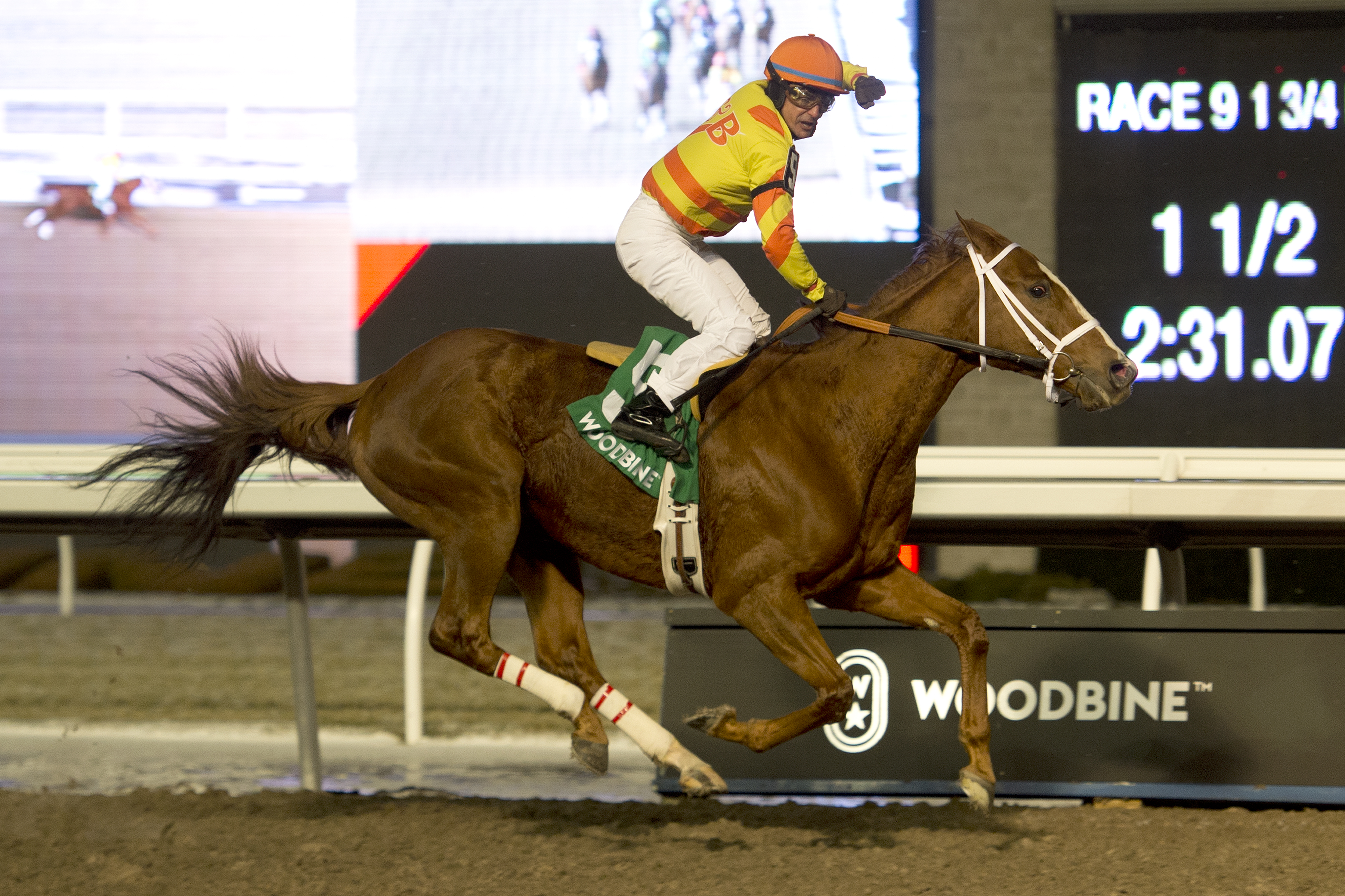 Pumpkin Rumble wins the 2019 Valedictory Stakes