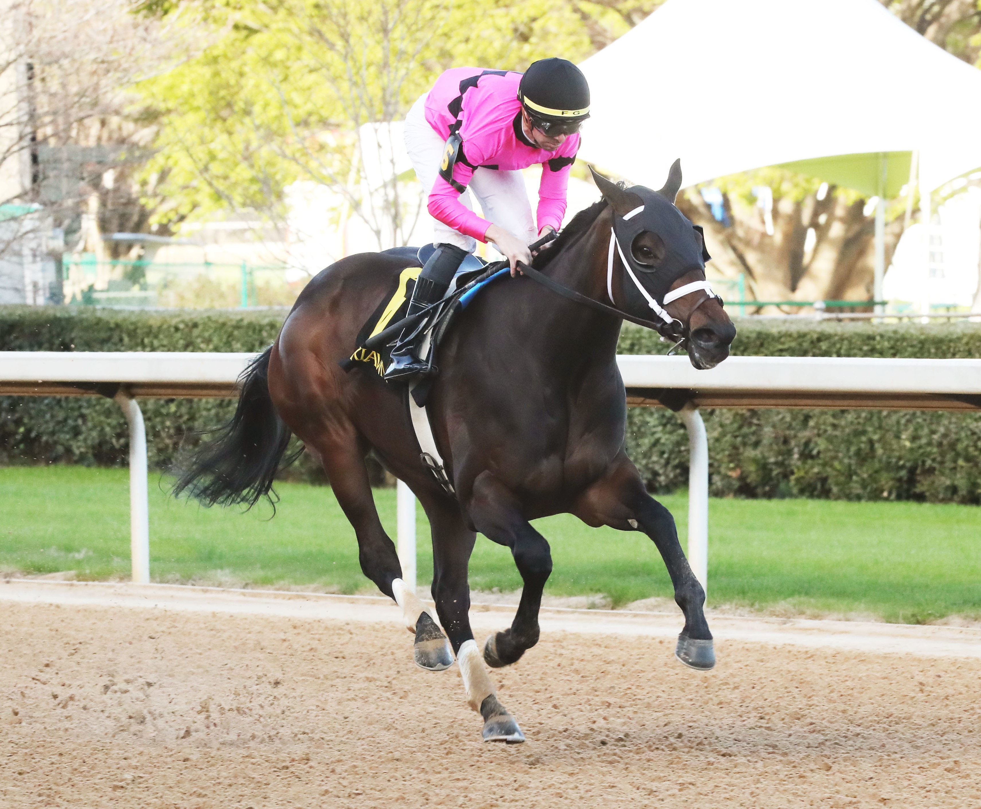 Punchbowl wins at OP March 5 2023
