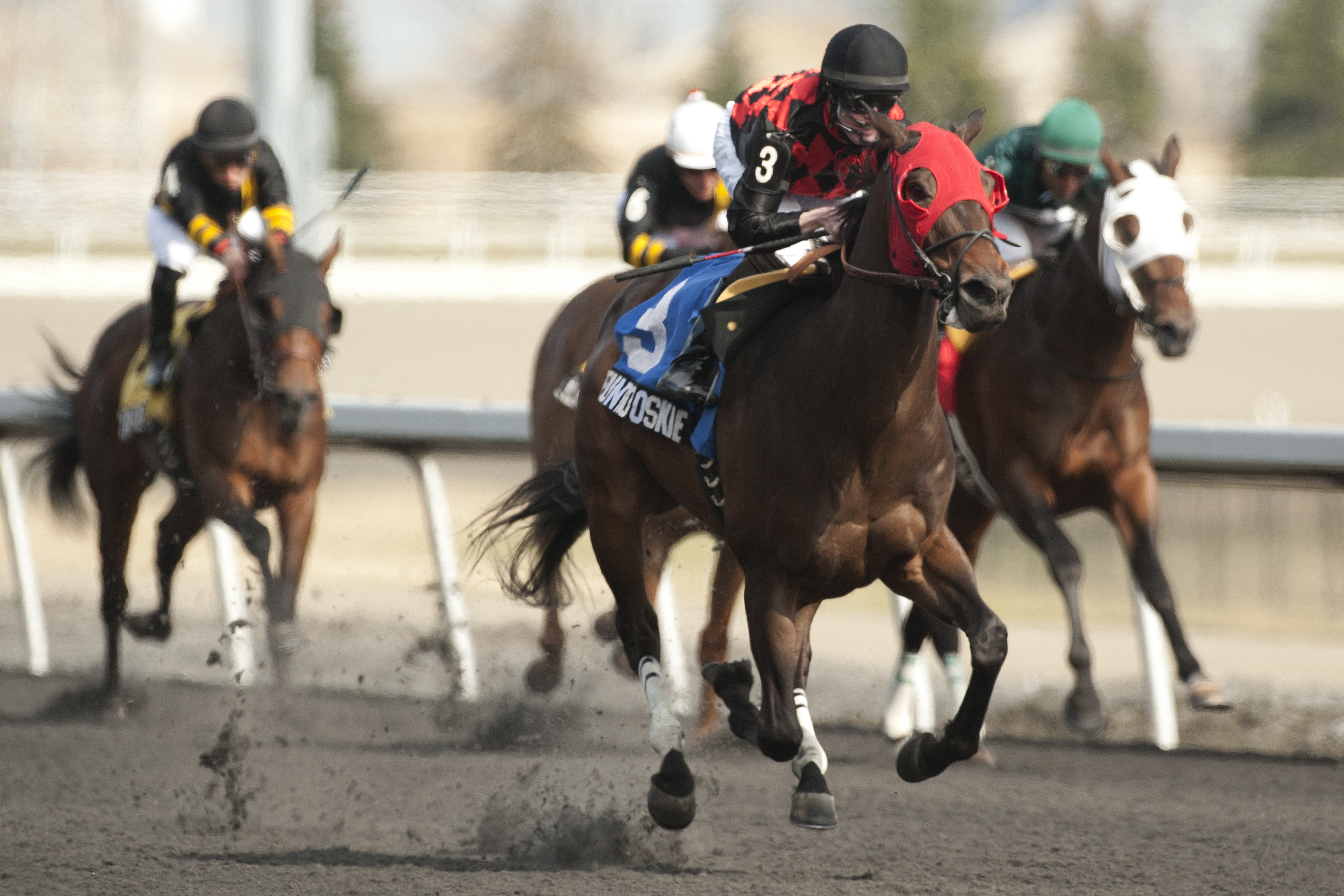 Puntrooskie wins the Woodstock