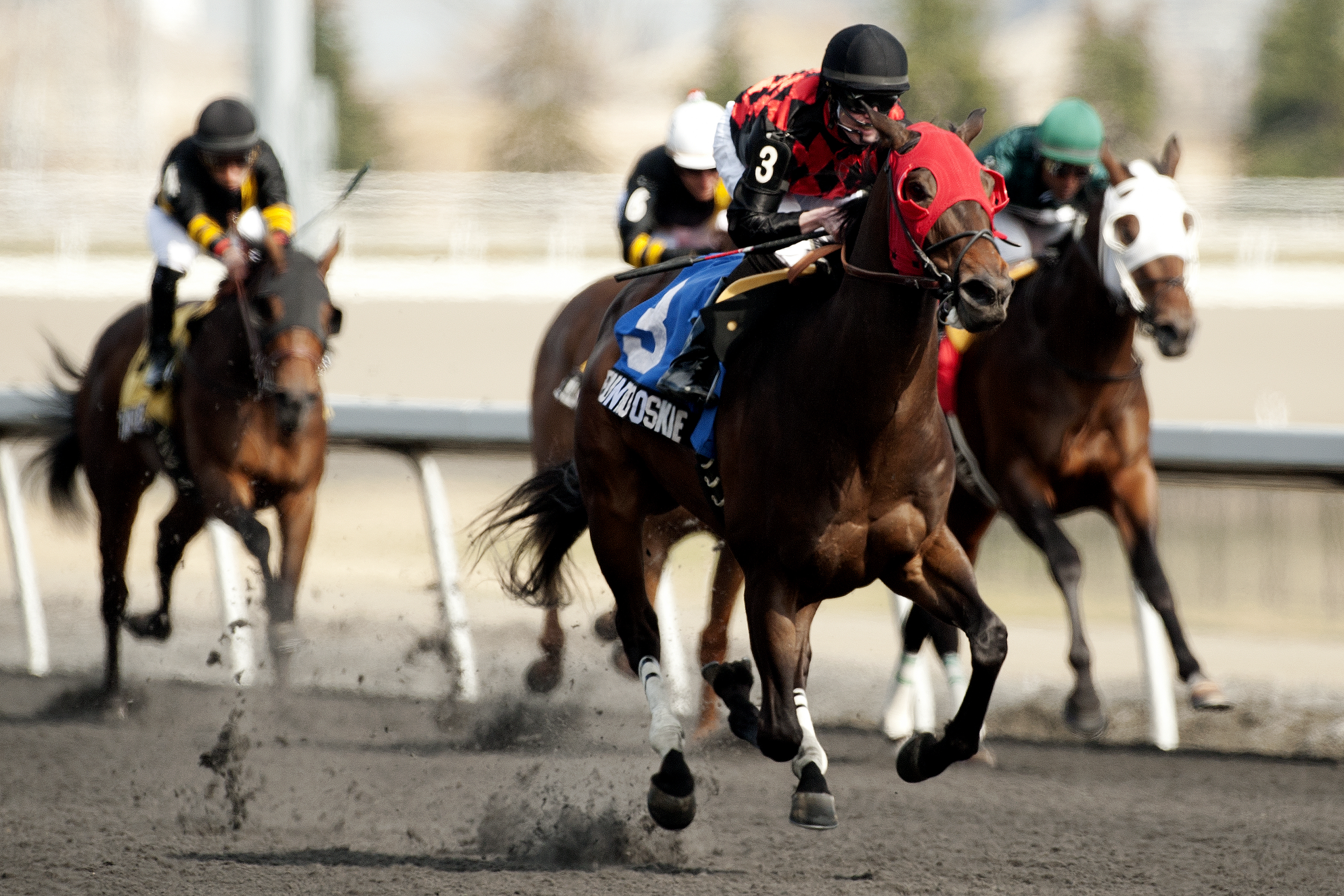 Puntrooskie wins the Woodstock