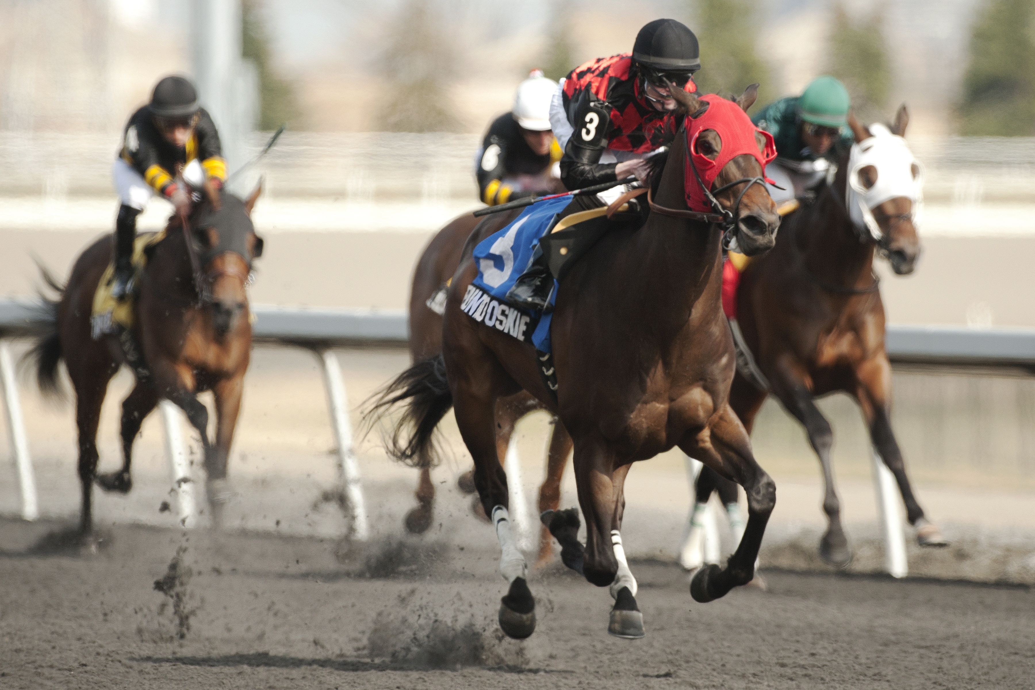 Puntrooskie wins the 2014 Woodstock Stakes