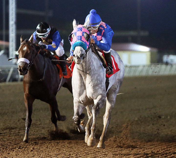 Puntsville wins the 2018 Hoist Her Flag Stakes at Canterbury Park