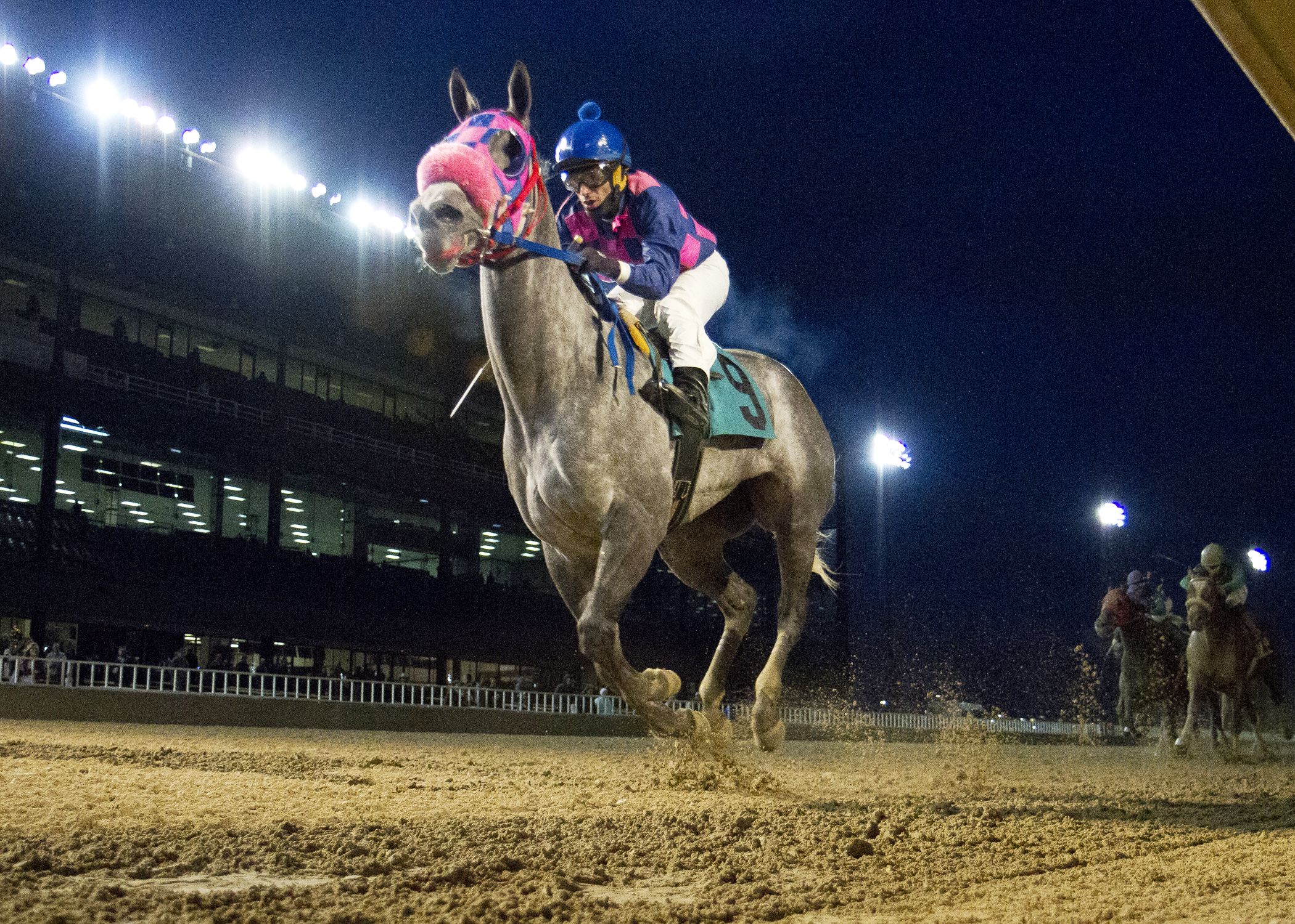Puntsville wins the Pershing Stakes