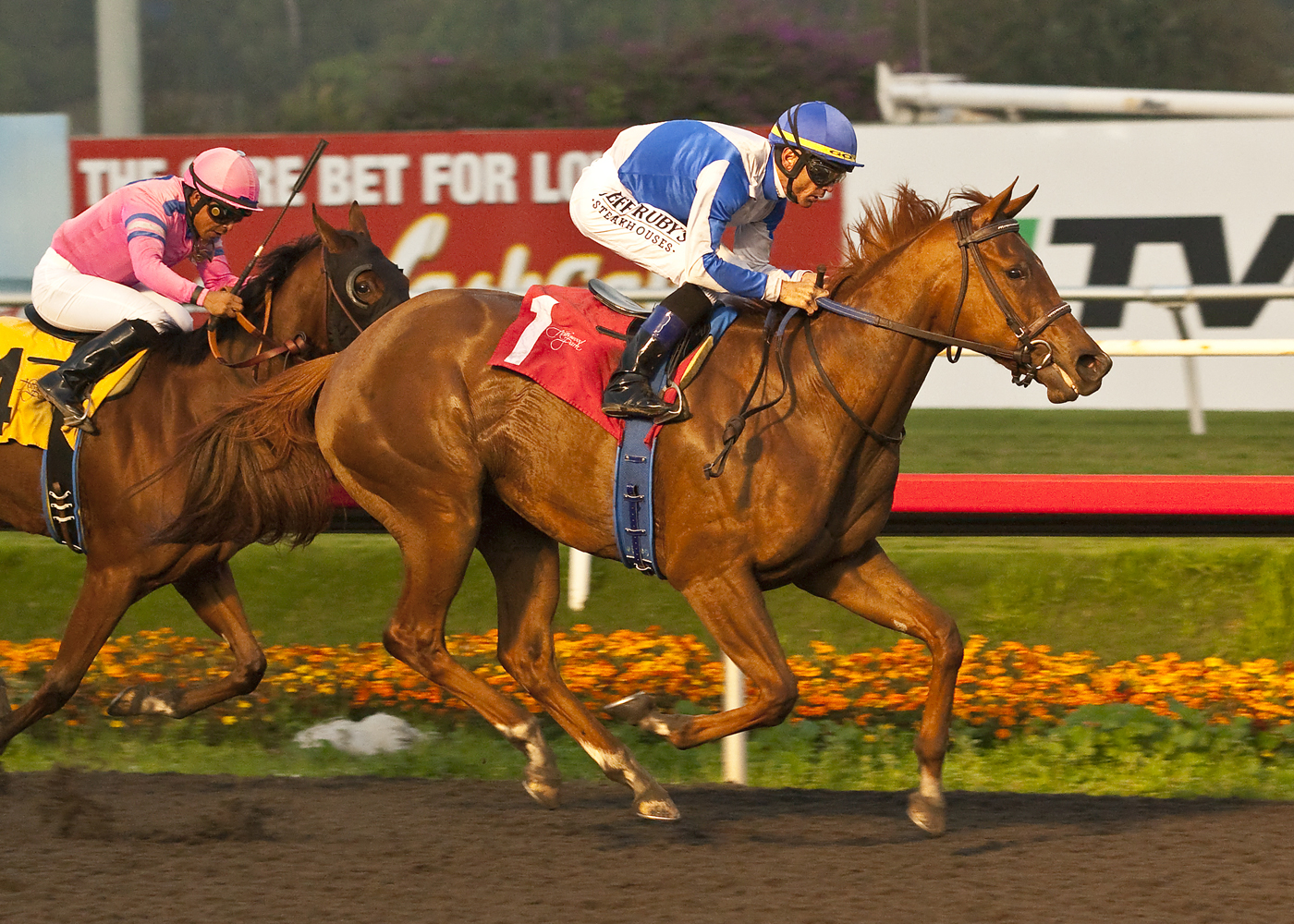 Pure Fun, Hollywood Starlet Stakes