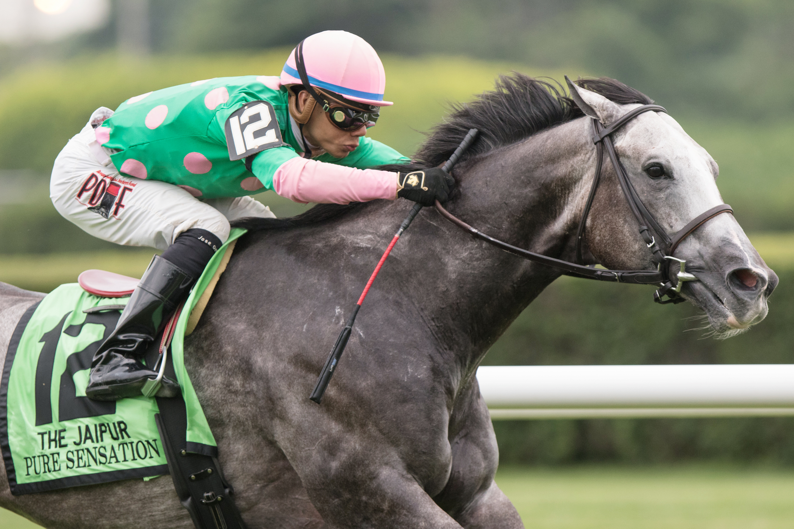 Pure Sensation wins the Jaipur