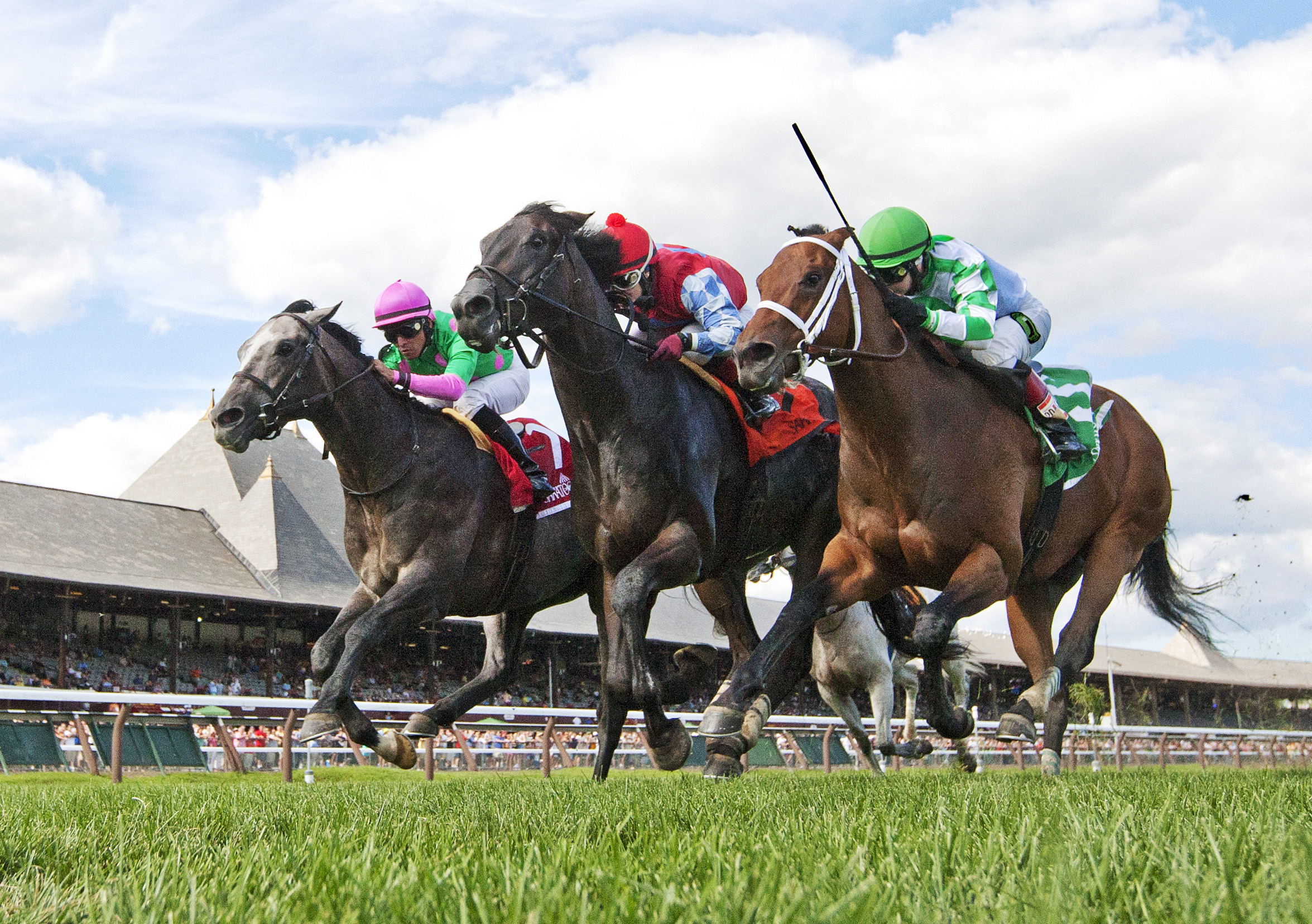 Favorite Tale loses the Quick Call Stakes