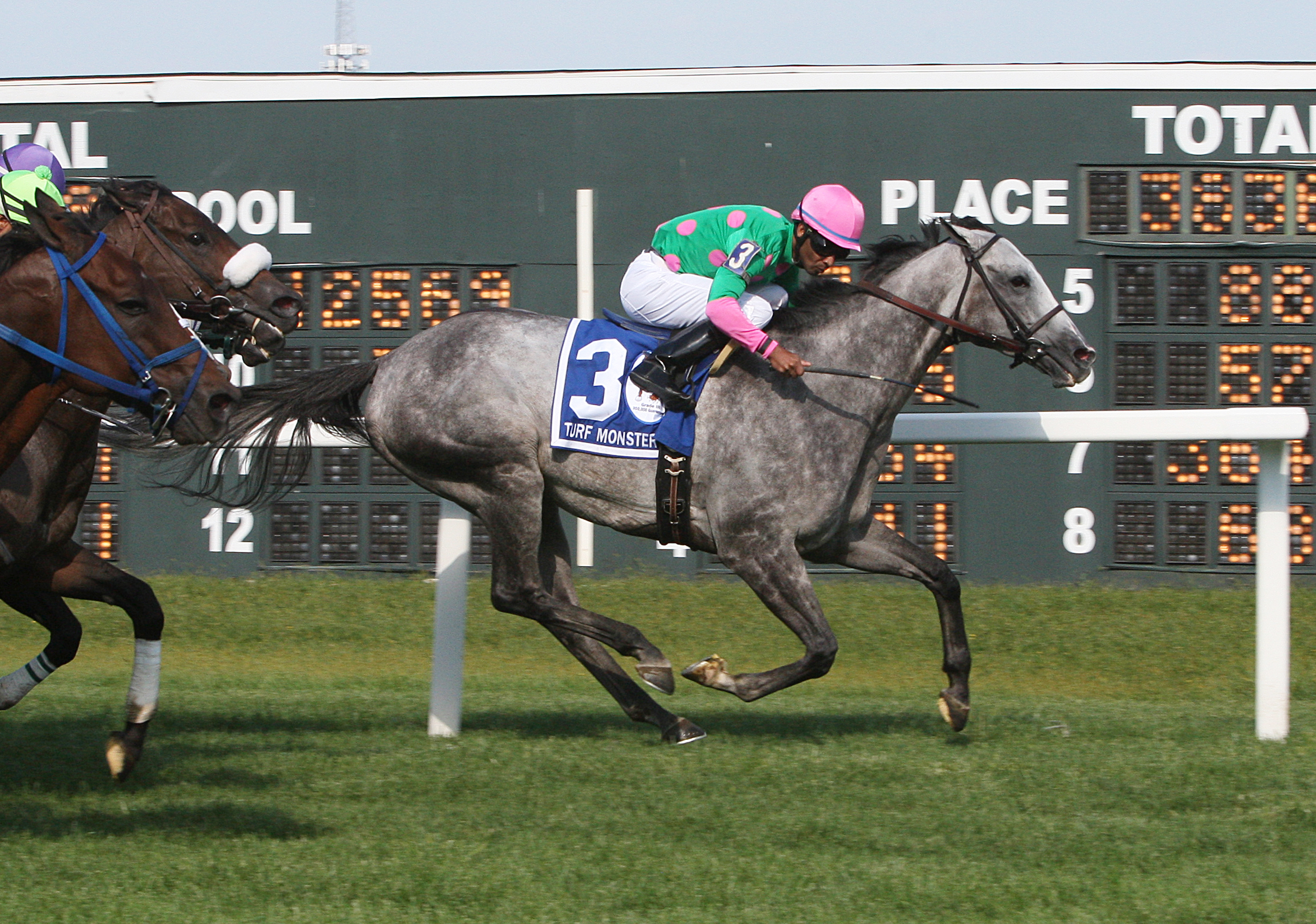 Pure Sensation wins the 2017 Turf Monster