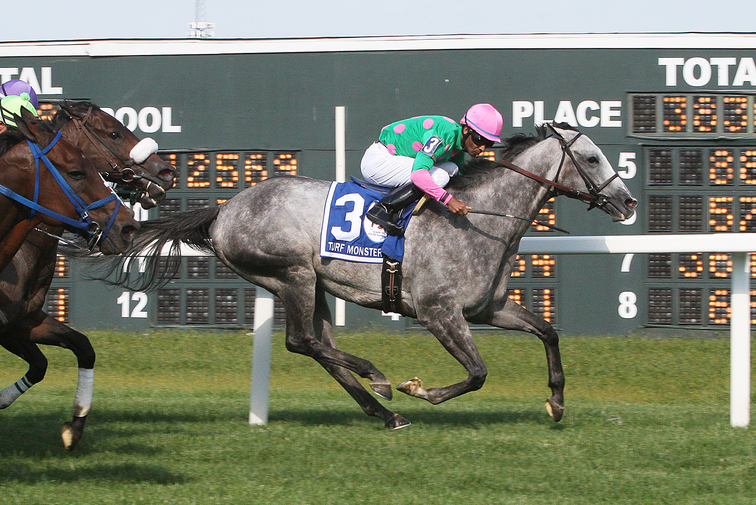 Pure Sensation wins the Grade 3 Turf Monster