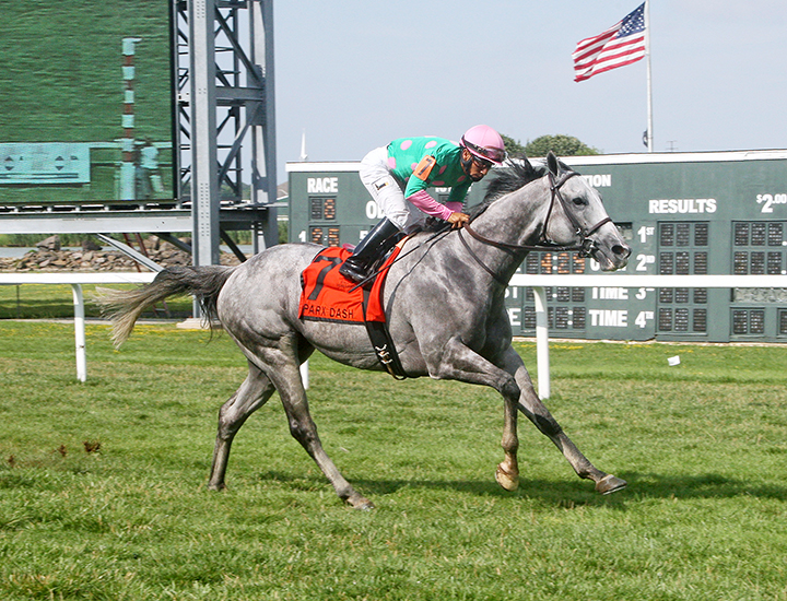 Pure Sensation wins the 2019 Parx Dash at Parx