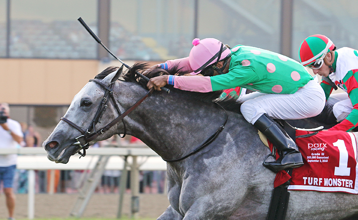 Pure Sensation wins the 2018 Turf Monster