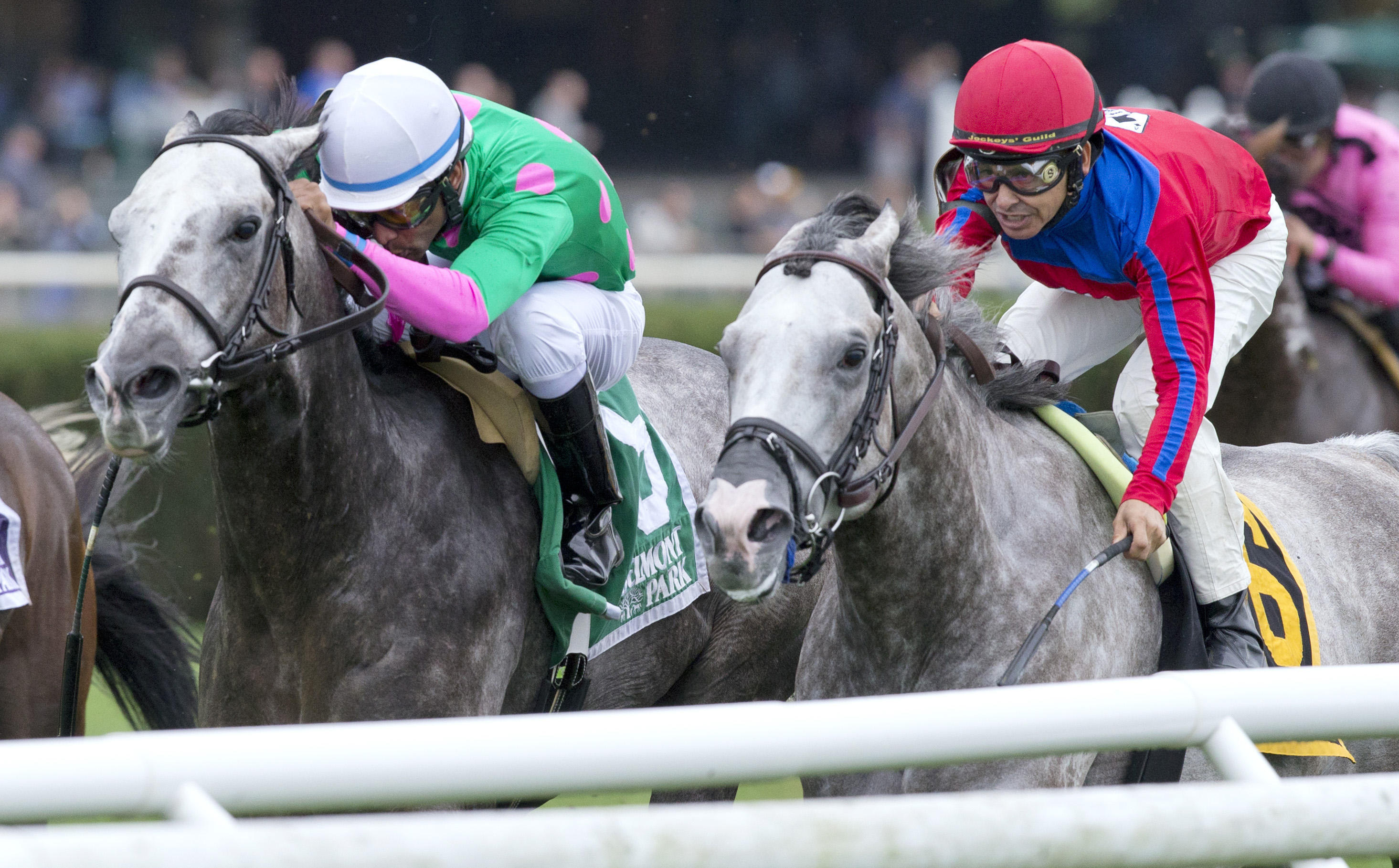 Power Alert finishes second in the Belmont Turf Sprint