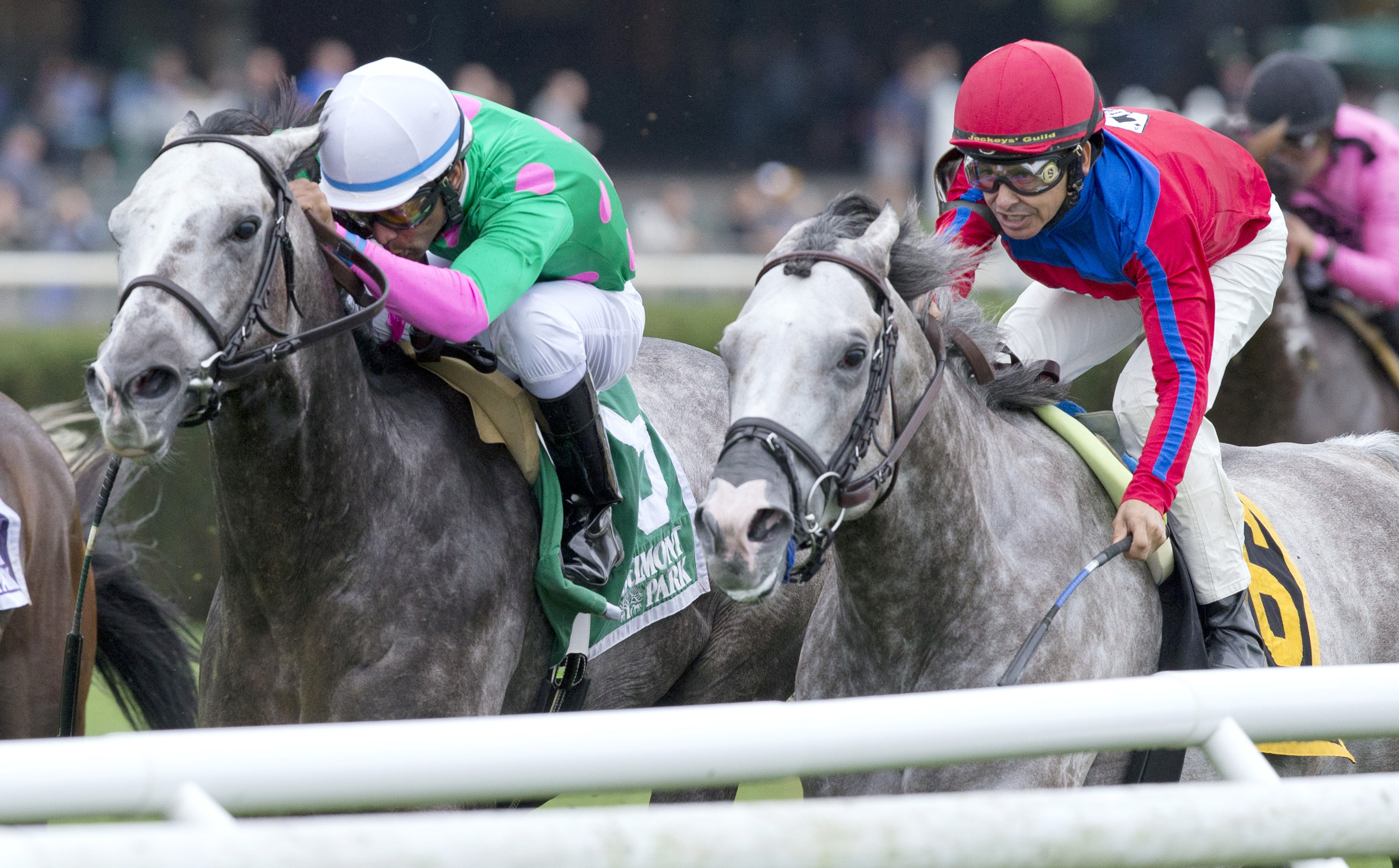 Pure Sensation wins the Belmont Turf Sprint Invitational Stakes