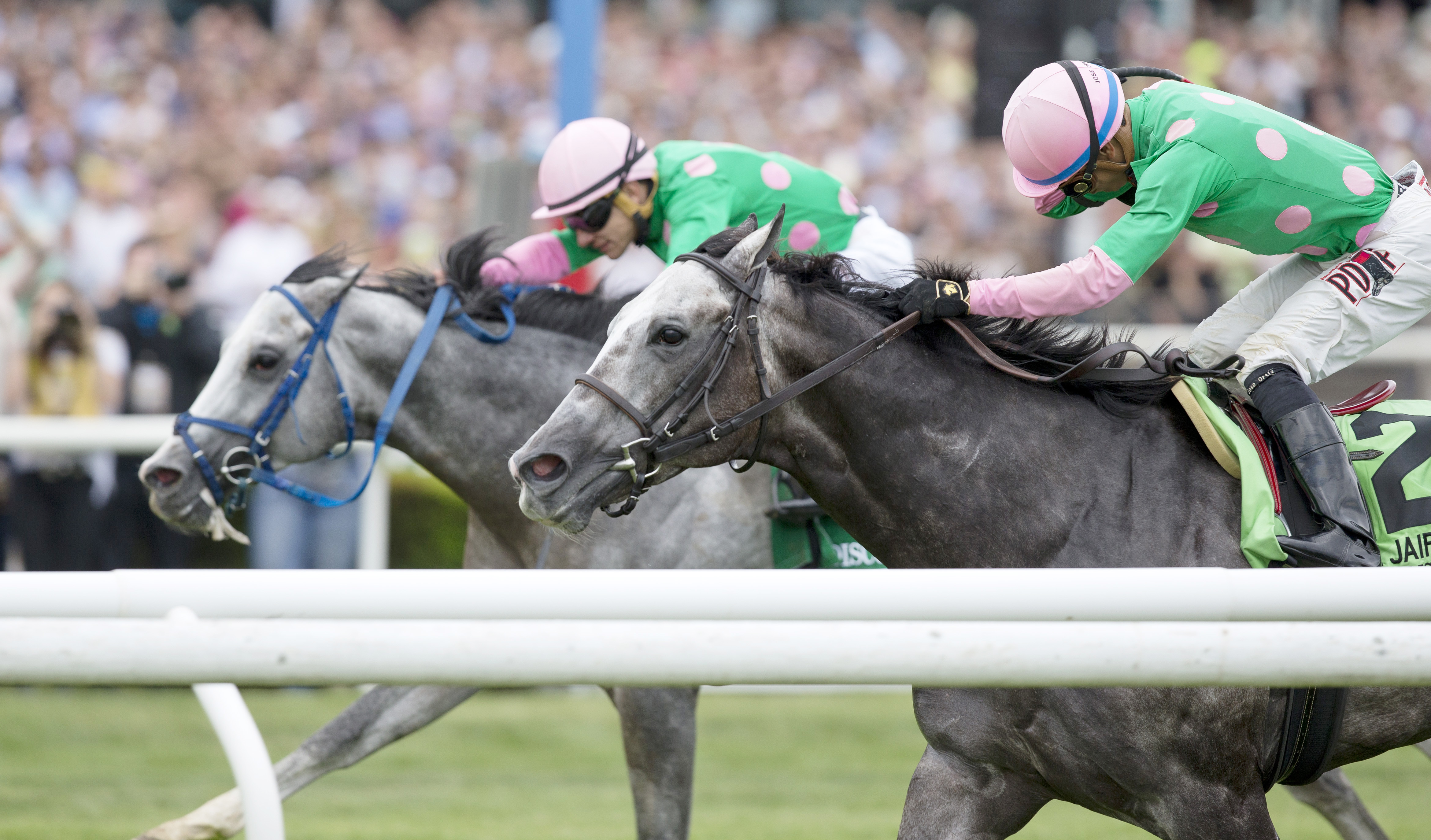 Pure Sensation wins the Jaipur