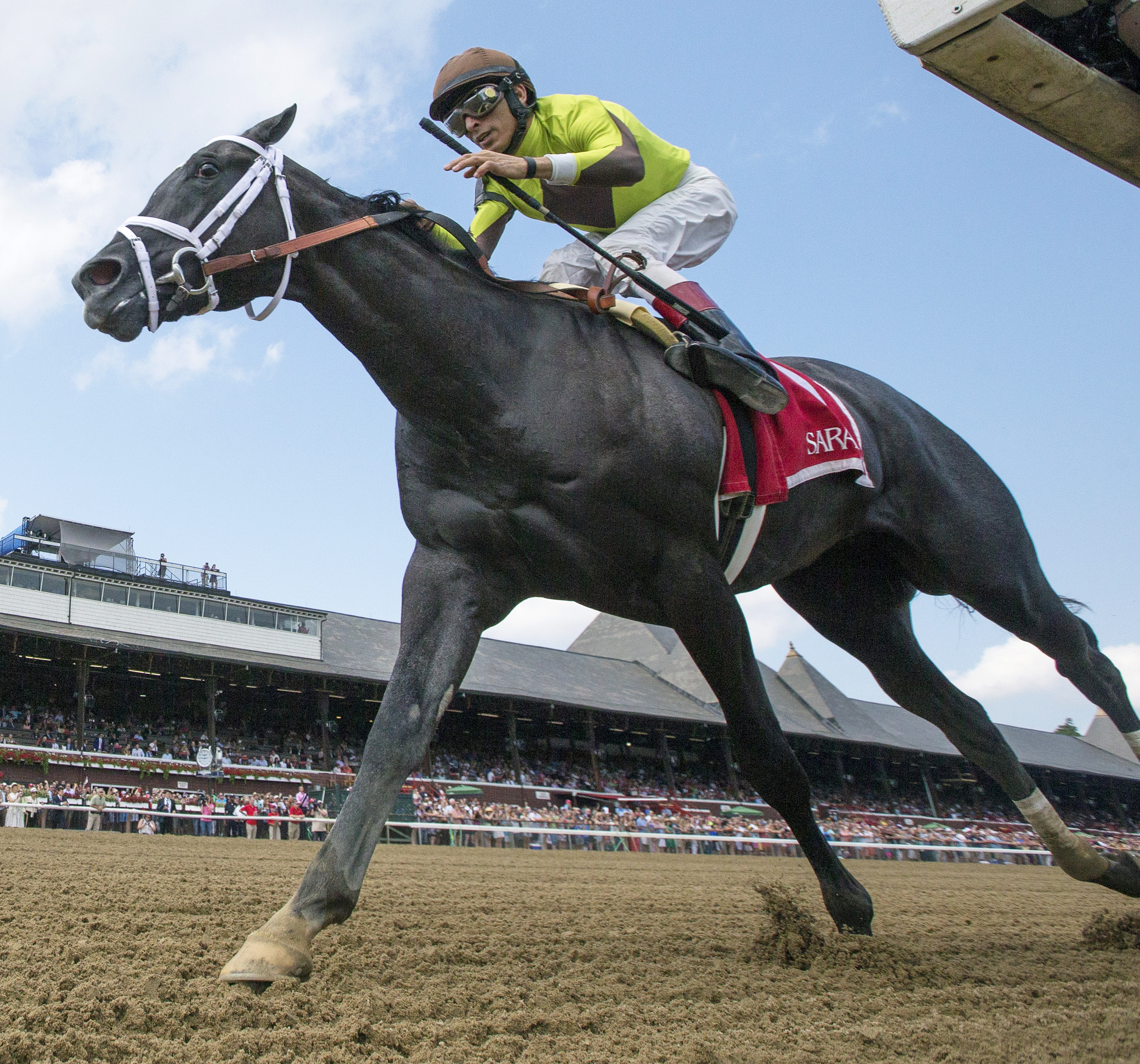 Pure Silver wins the 2017 Adirondack Stakes