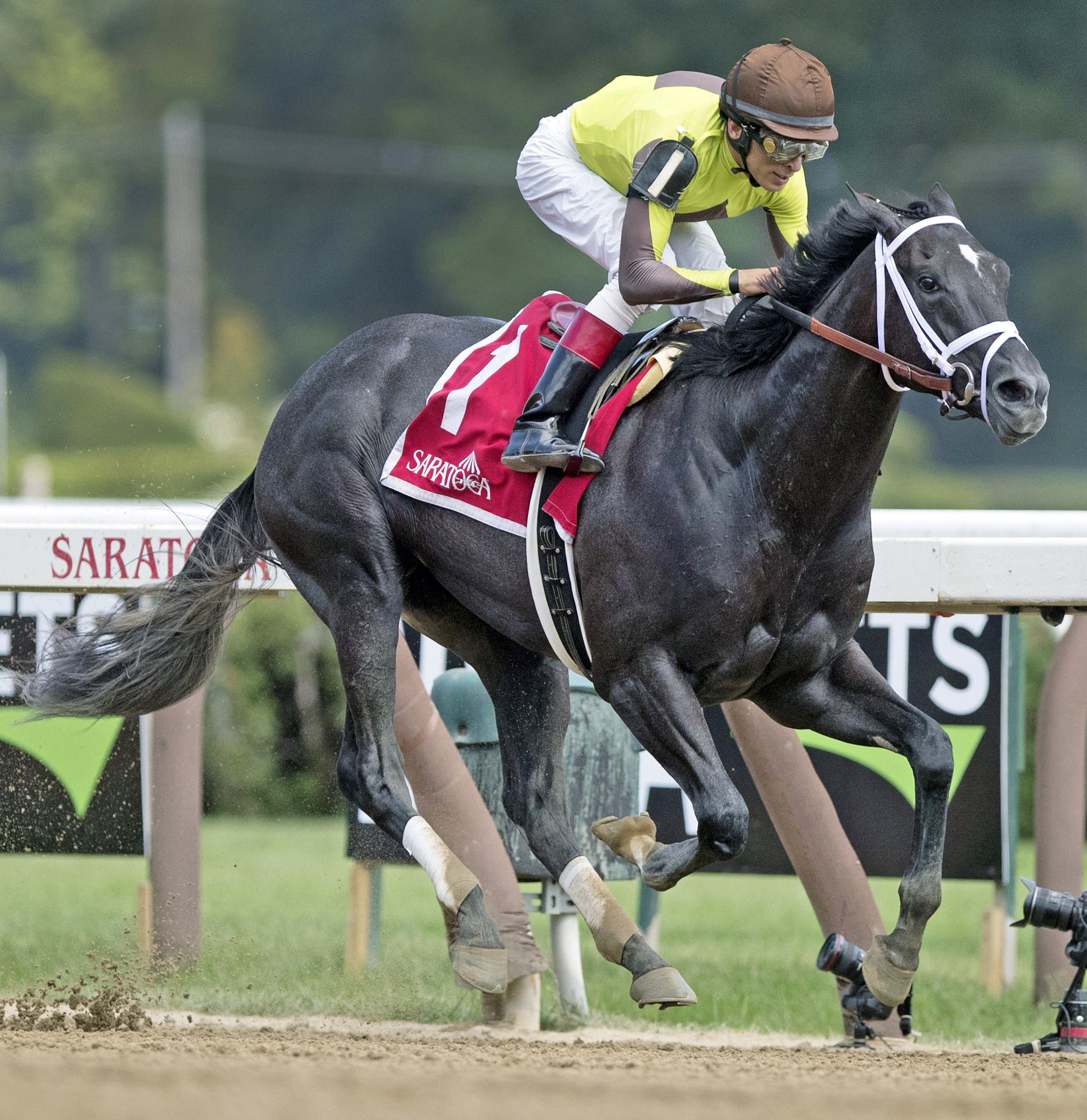 Pure Silver wins the 2017 Adirondack Stakes