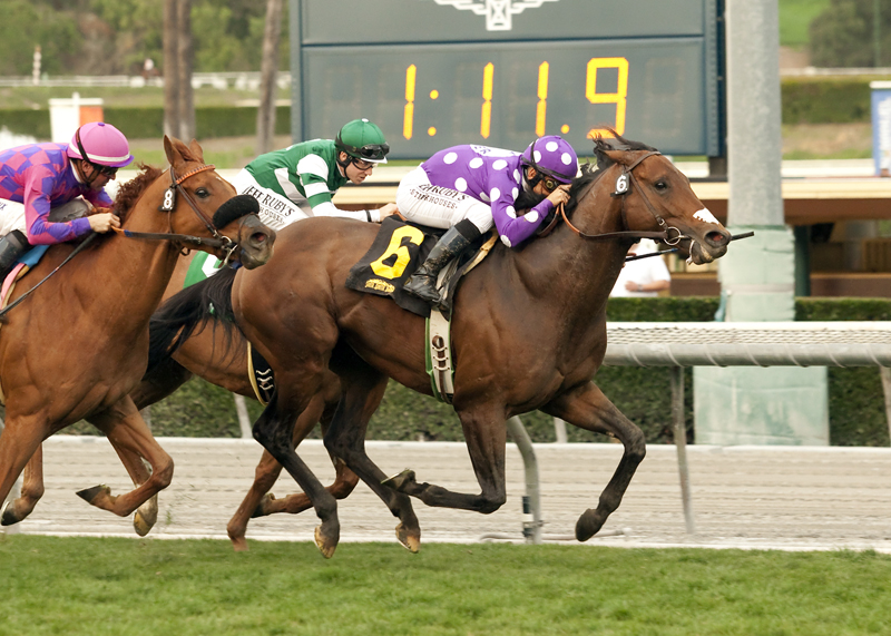 Pure Tactics 1-25-2015
