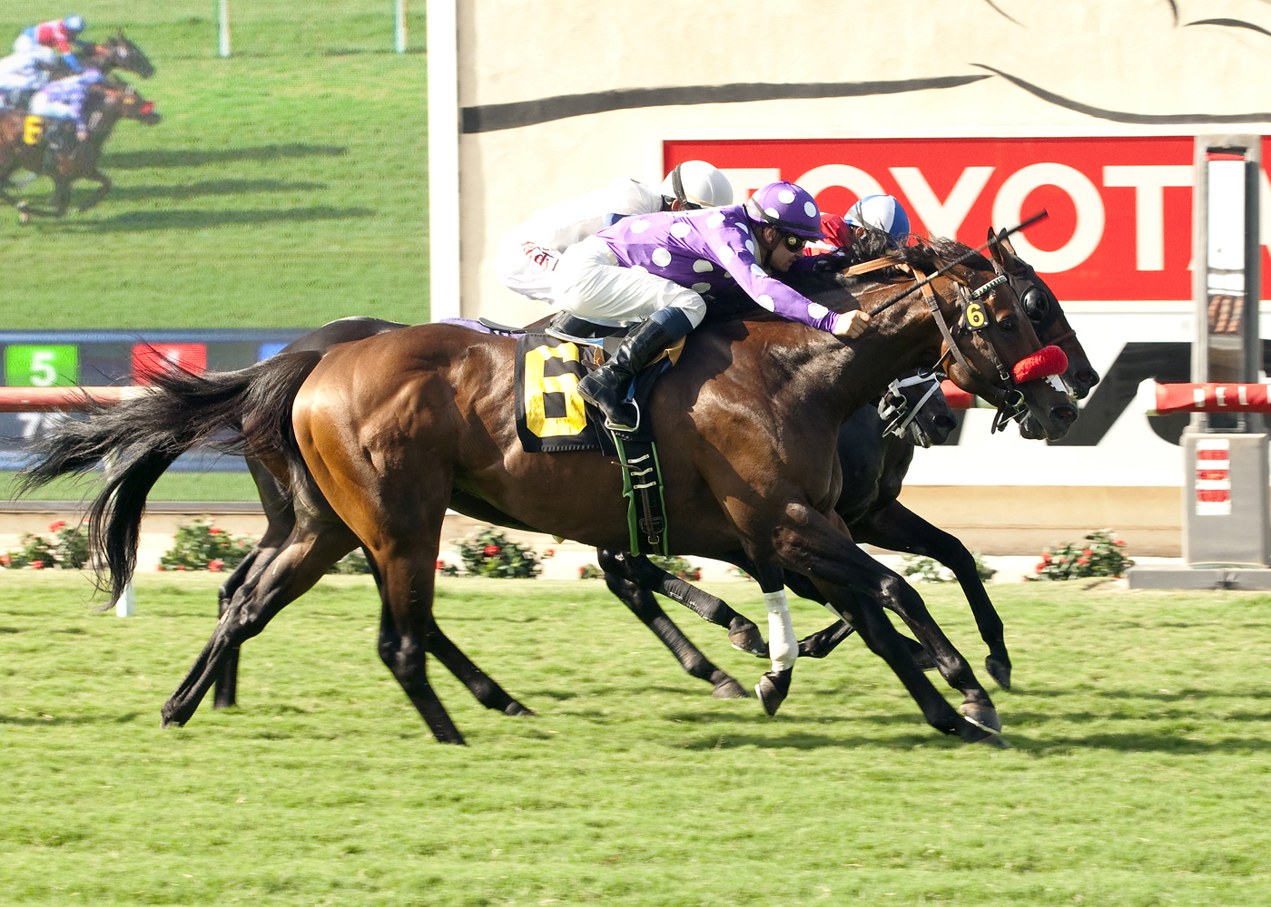 Pure Tactics wins the Wickerr