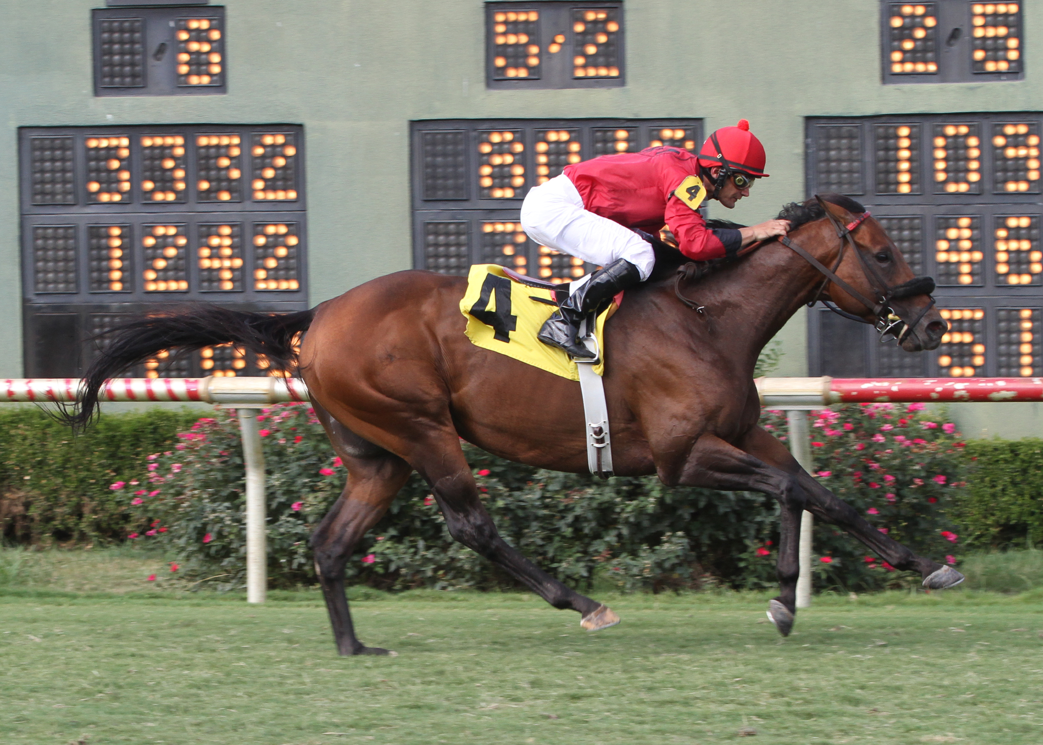 Pure Tactics 8-3-2013