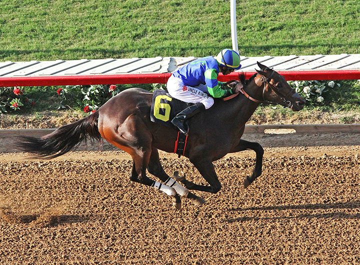 Pure Xena wins a July 20 maiden race at Del Mar