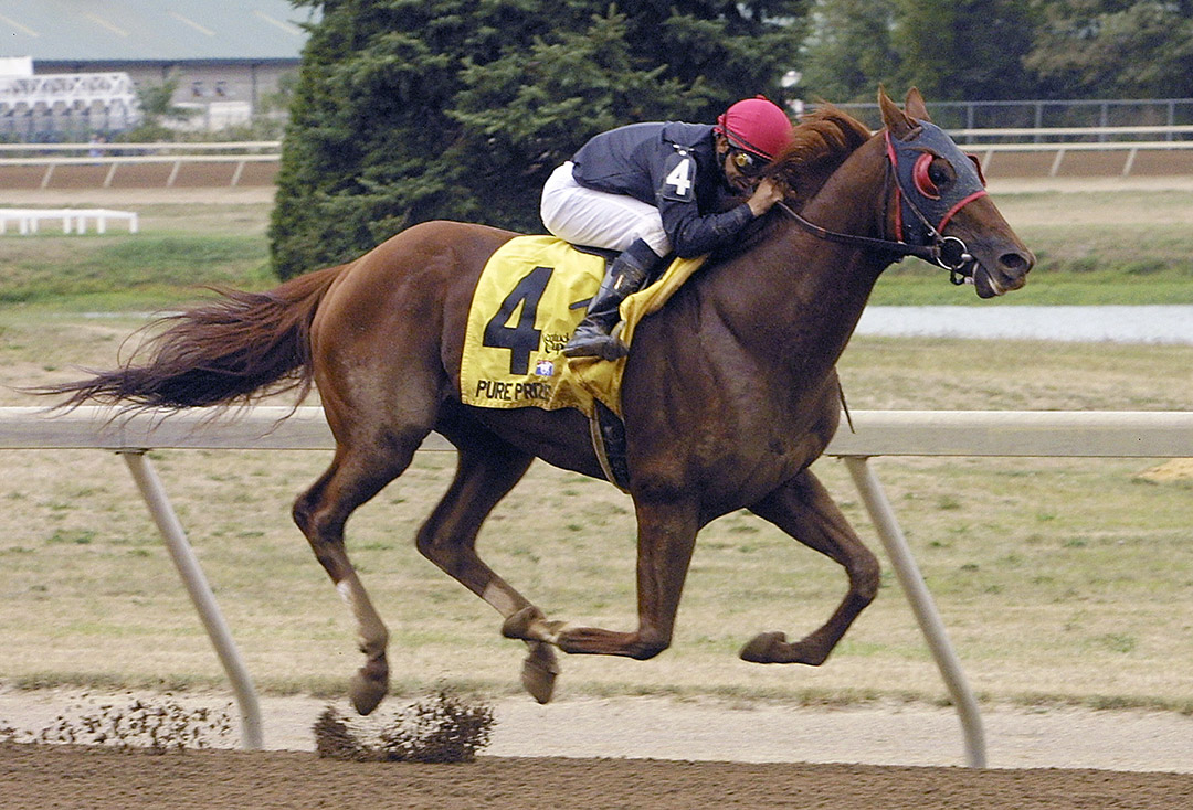 Pure Prize wins the 2002 Kentucky Cup Classic at Turfway Park