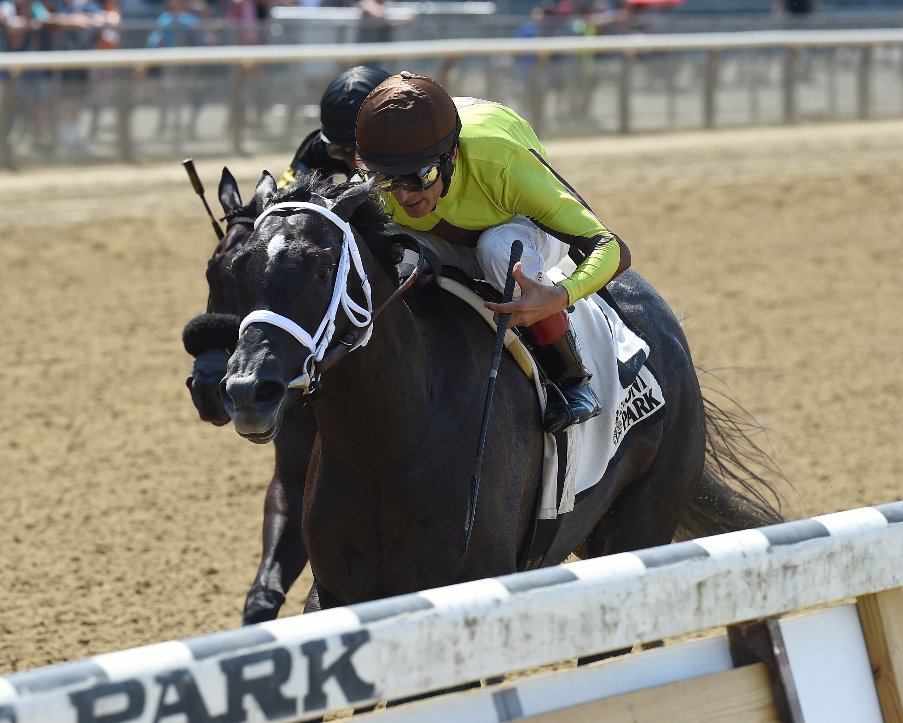 Pure_Silver_wins_The_Lynbrook_7.16.17_CDNY