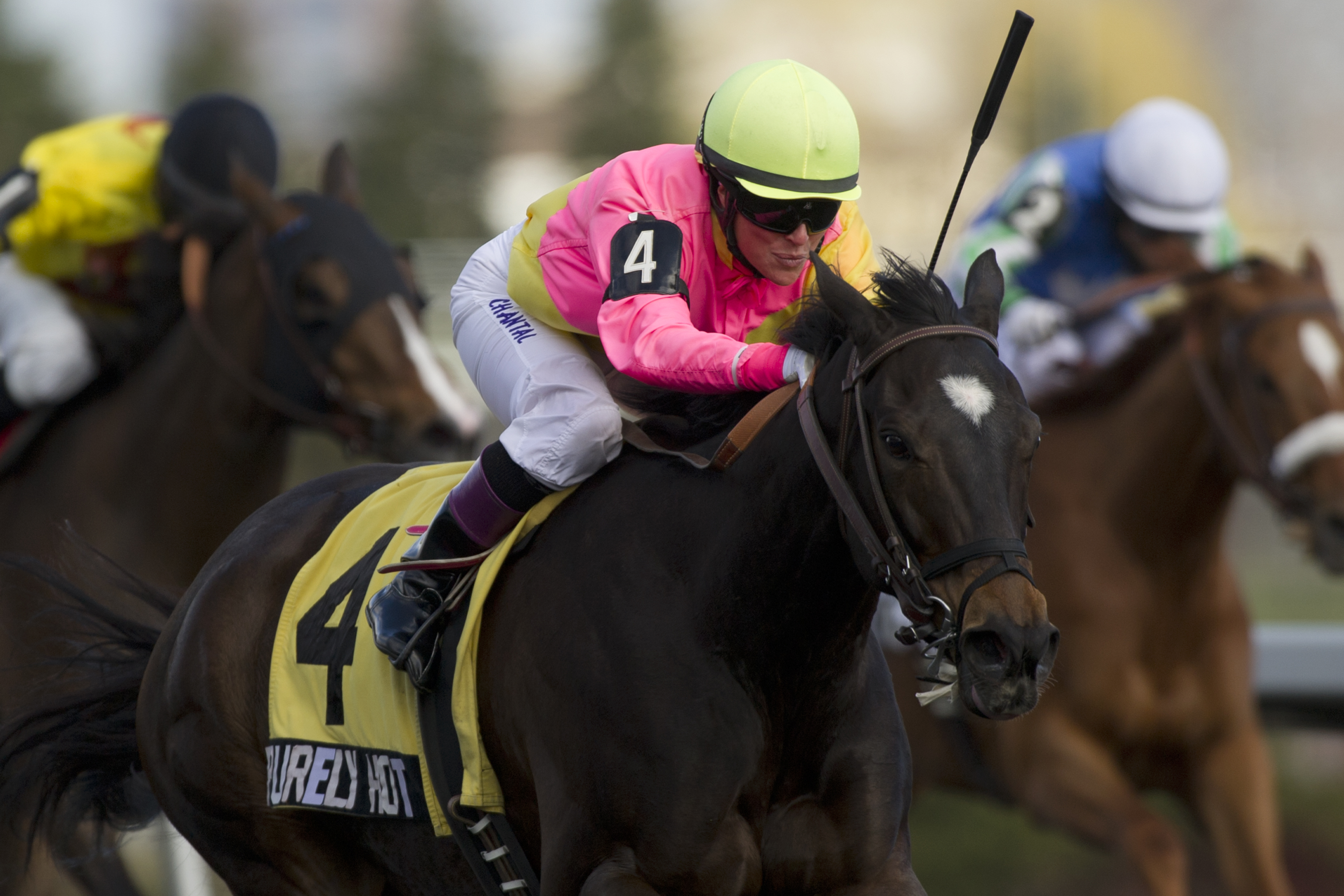 Purely Hot wins Whimsical Stakes