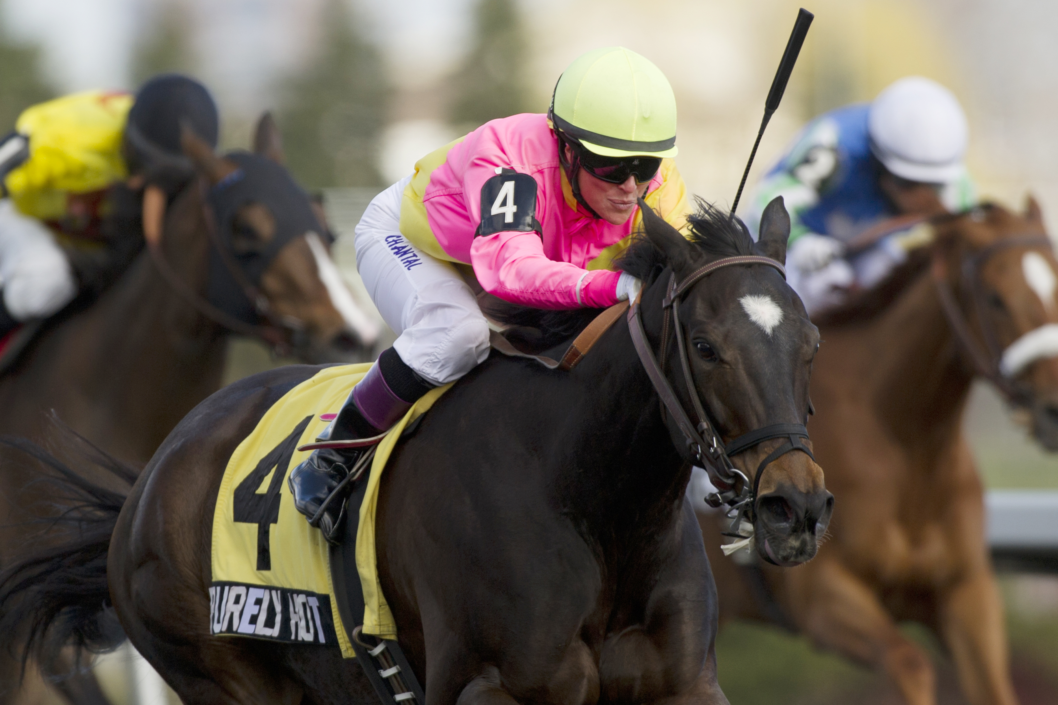 Purely Hot wins the Whimsical Stakes