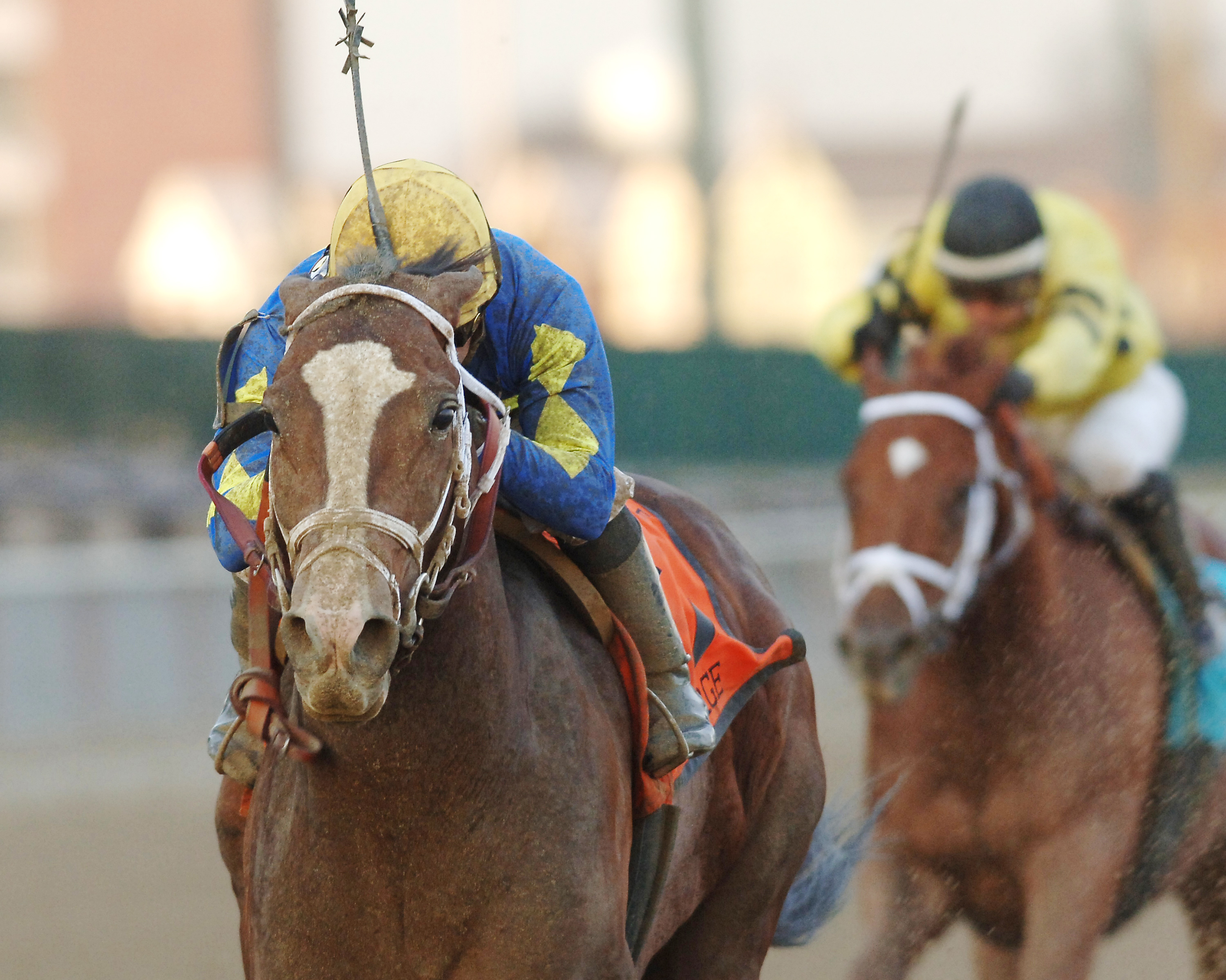 Purge wins the 2005 Grade 1 Cigar Mile