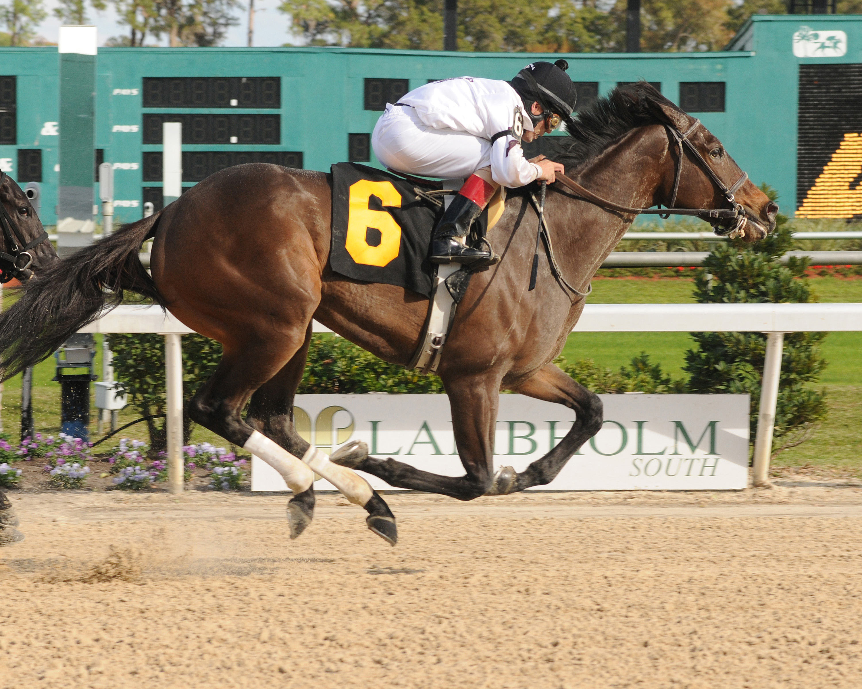 Purple Egg, Inaugural Stakes