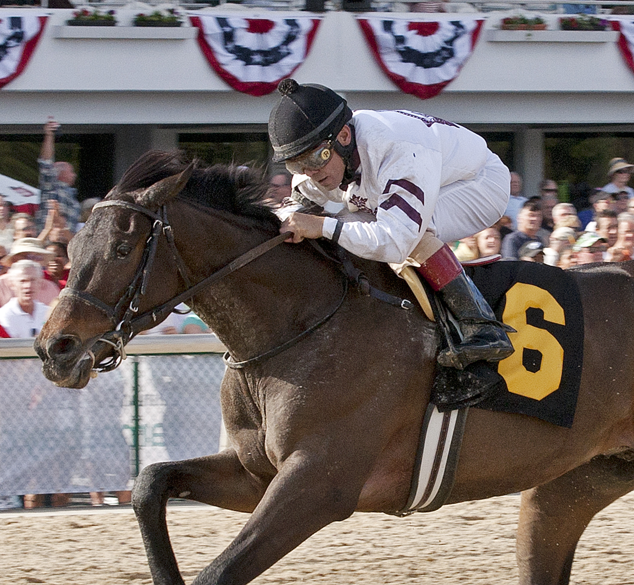 Purple Egg, Inaugural Stakes at Tampa Bay Downs