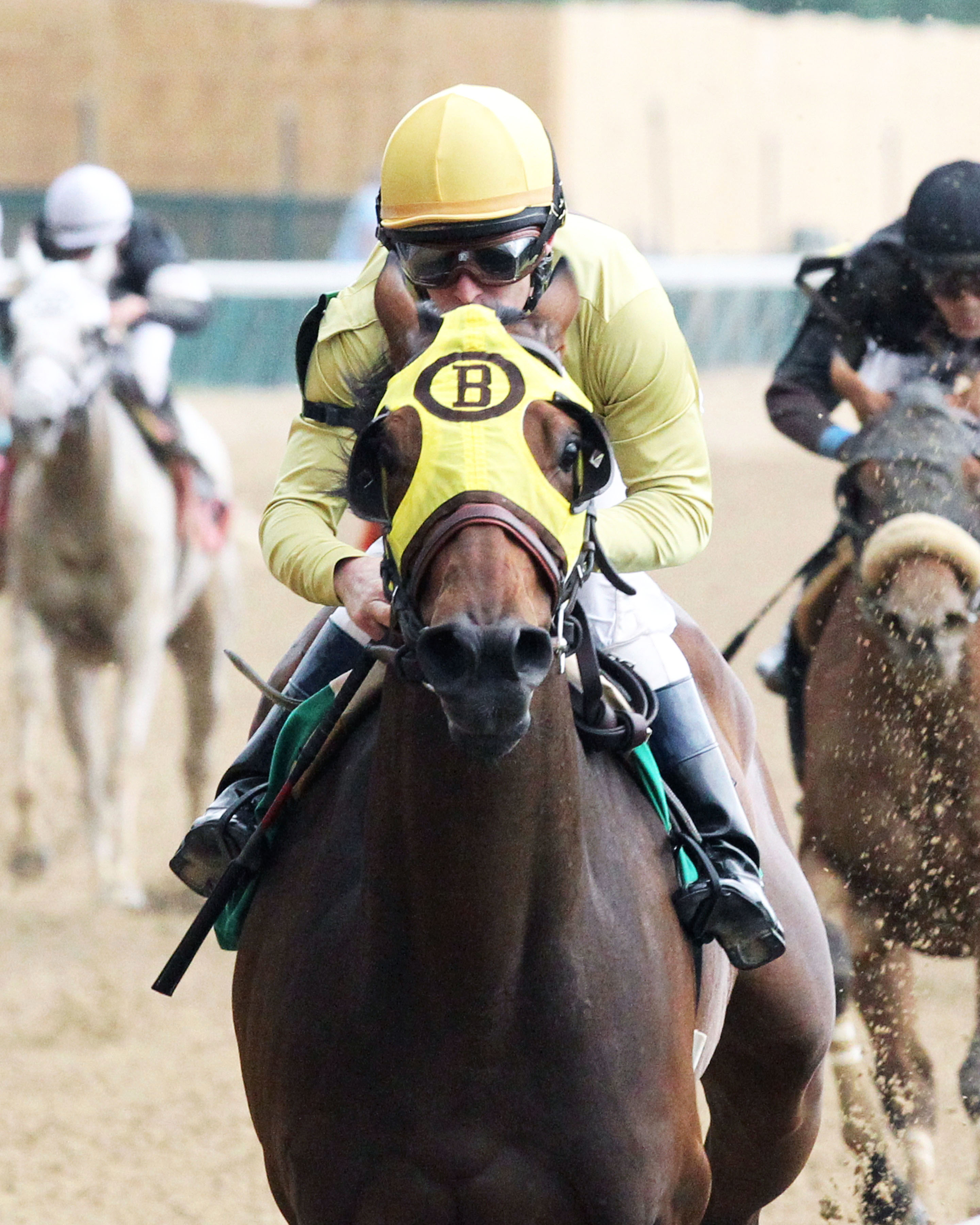 Put Da Blame On Me wins a May 28 allowance at Churchill