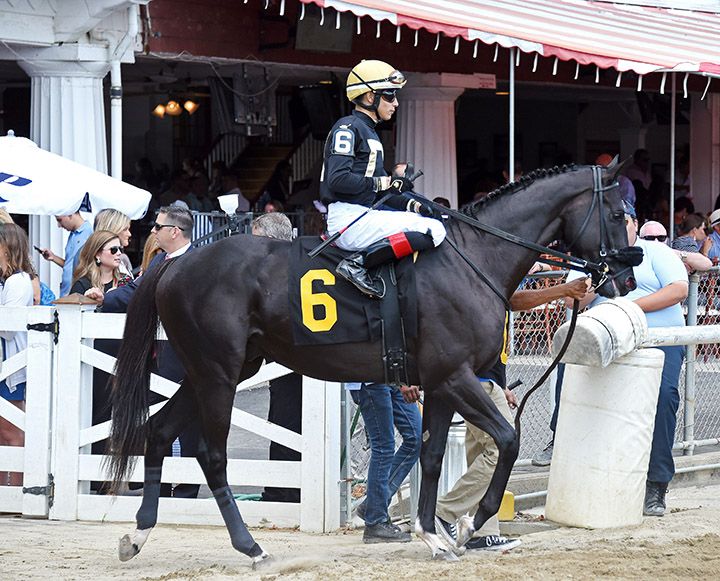 Puttheglassdown at Saratoga Race Course in August 2019