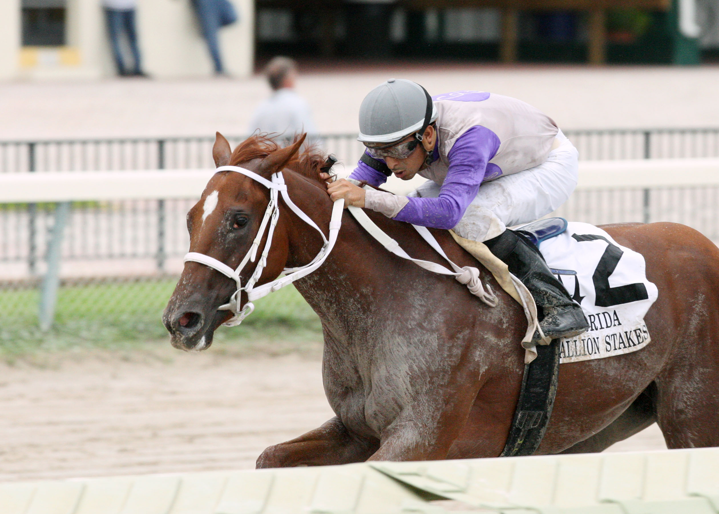 Putyourdreamsaway/Susan's Girl Stakes