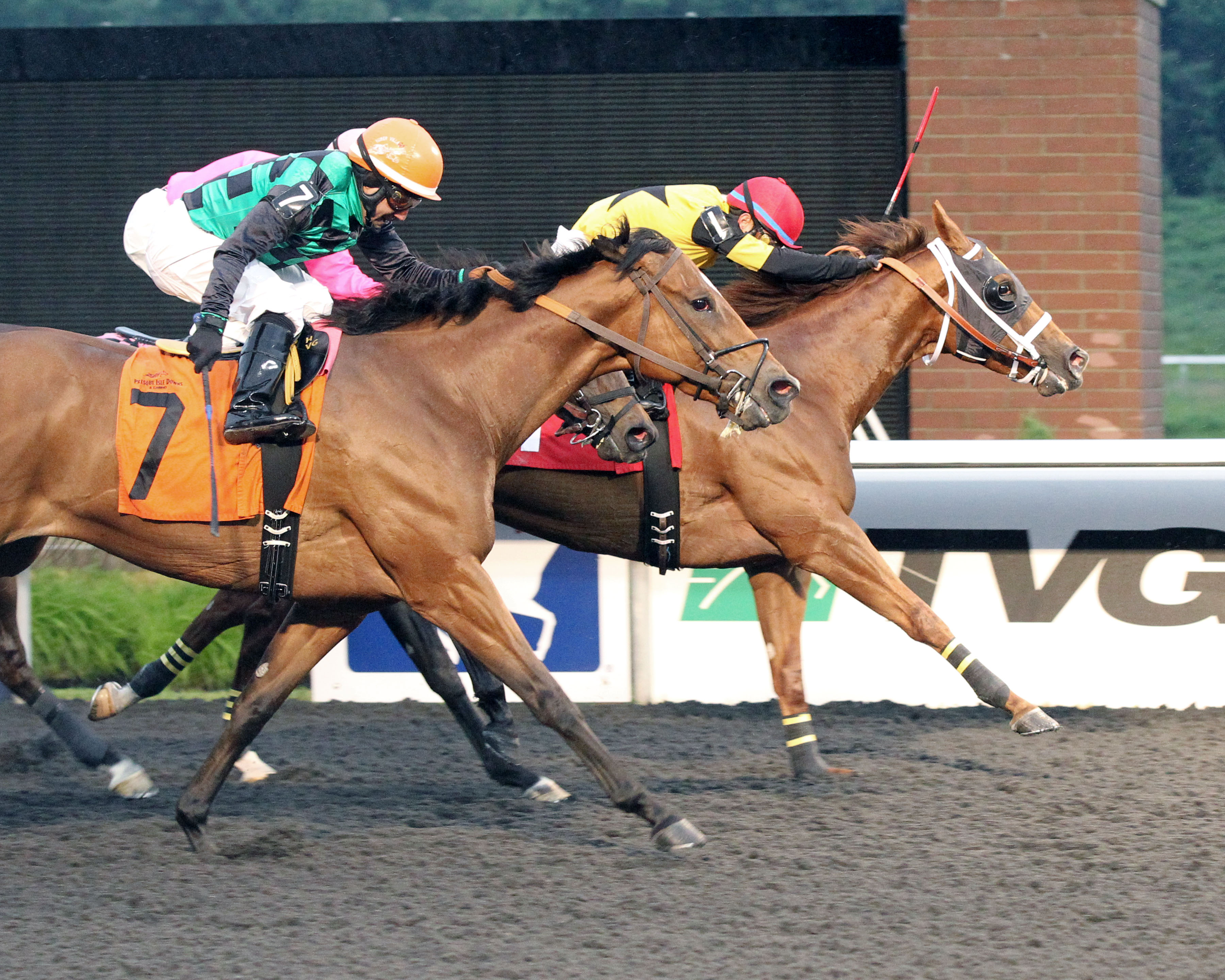 Quality Lass wins 2014 Satin and Lace