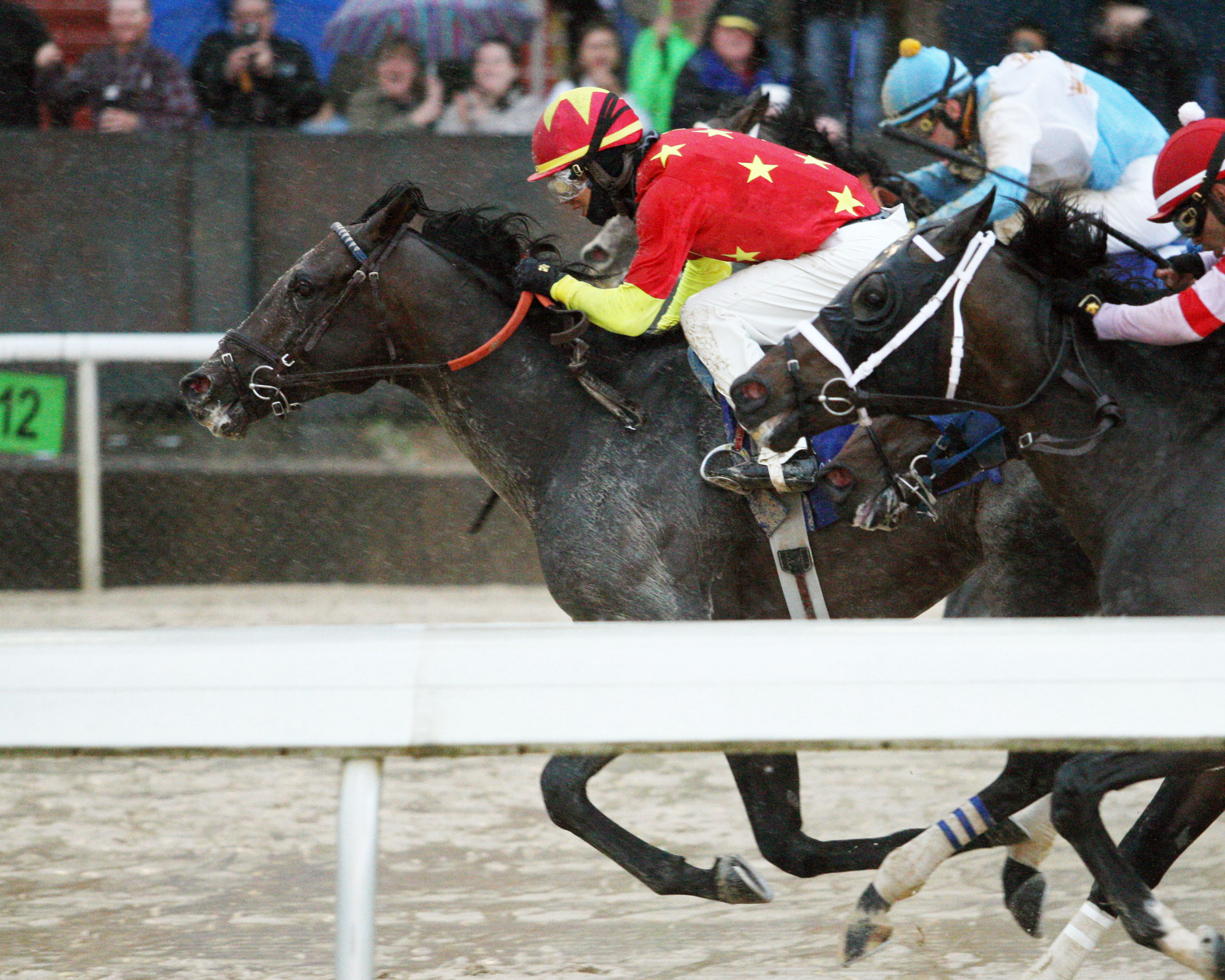 Quip wins the 2019 Oaklawn Handicap