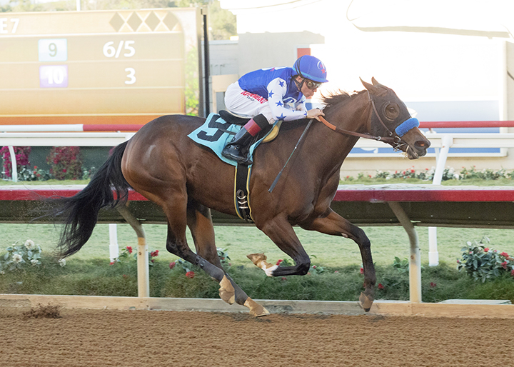 Qahira wins a maiden race at Del Mar on 11.25.18