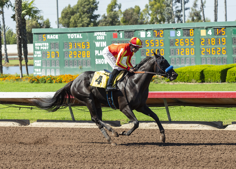Quality Response wins the 2019 Phone Chatter Stakes