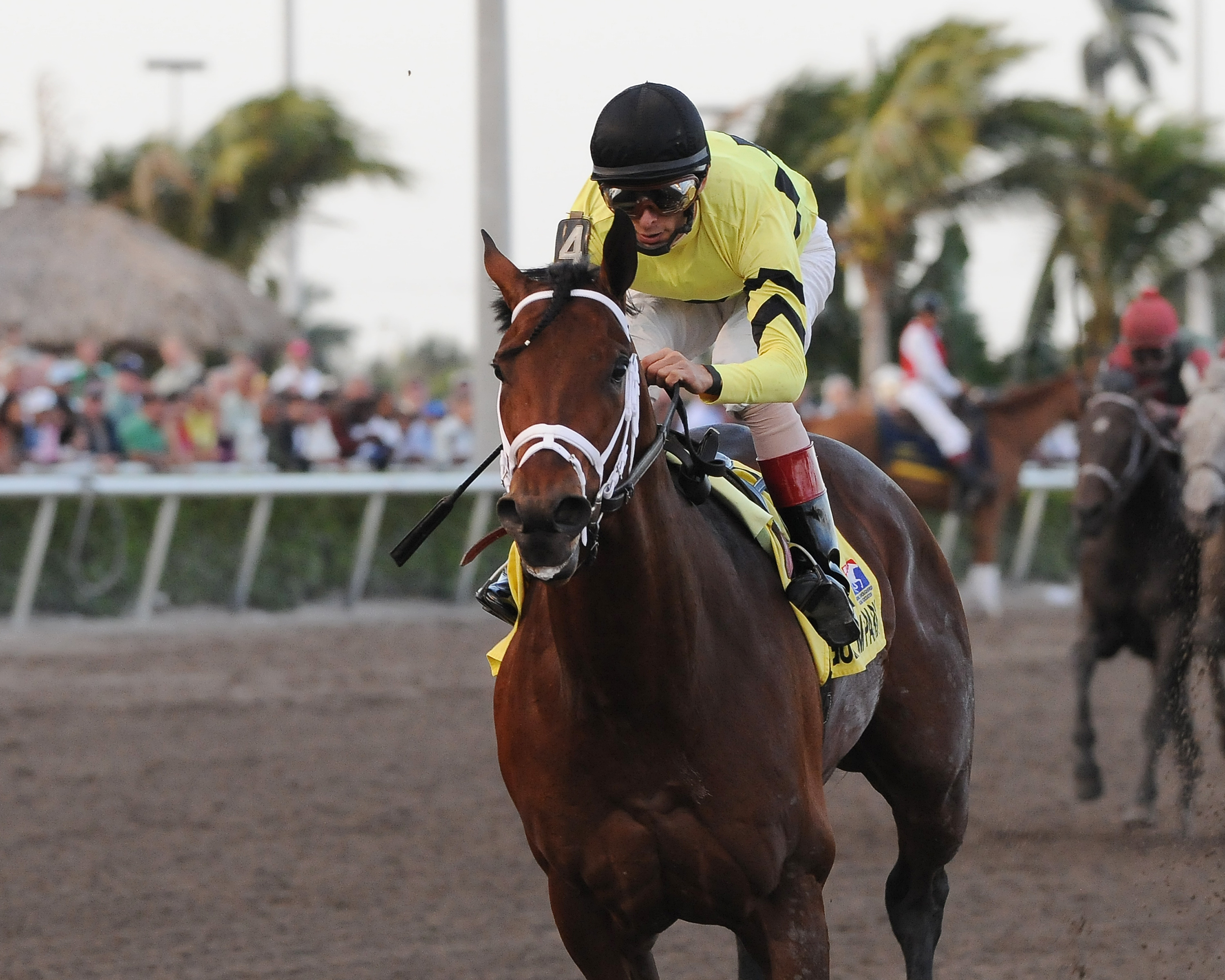 Quality Road wins Donn