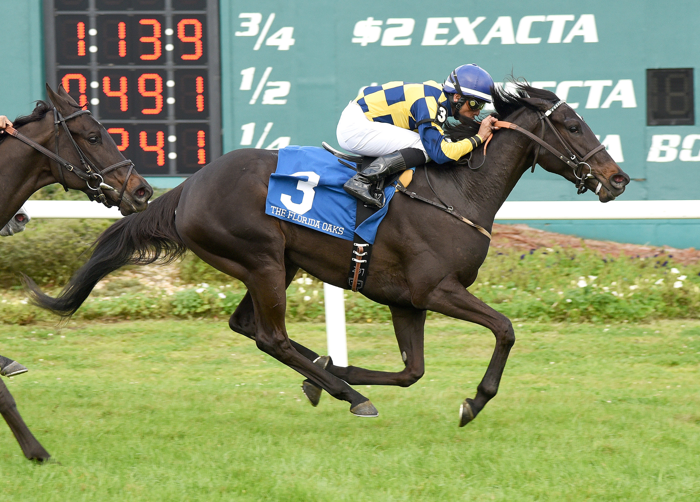 Quality Rocks wins the 2015 Florida Oaks