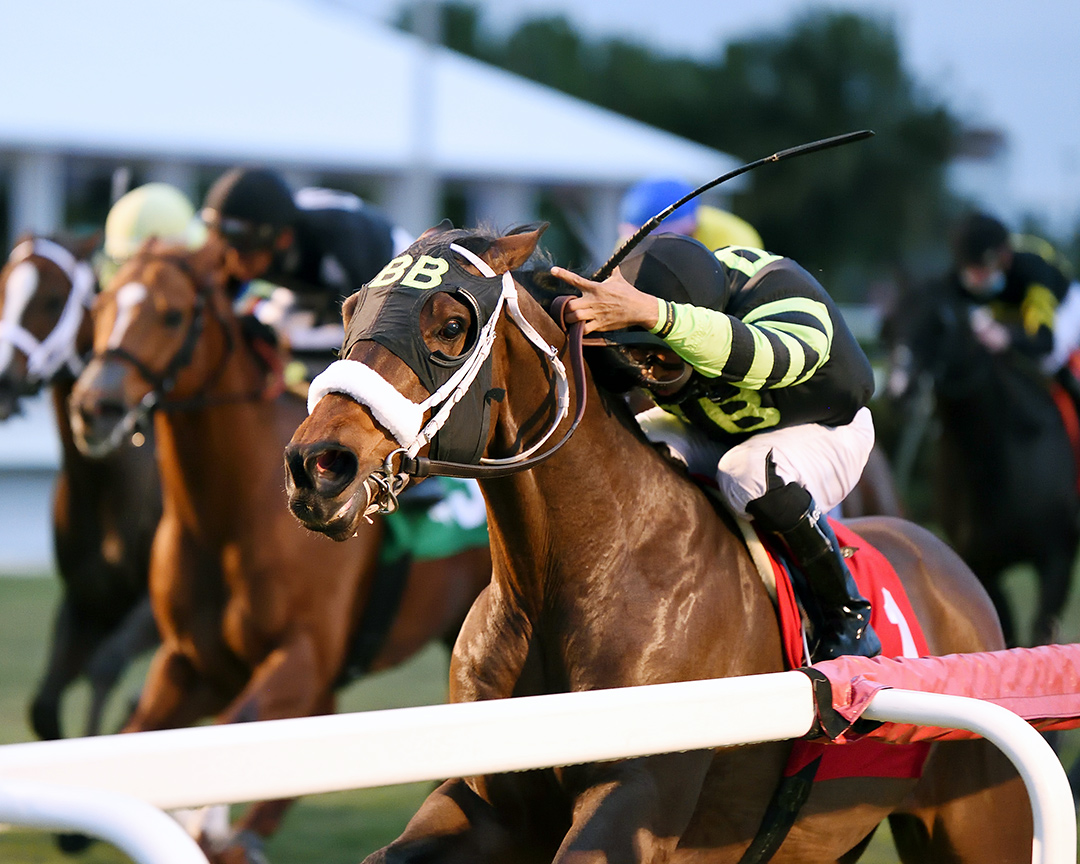 Quarky wins a December 2020 allowance optional claimer at Gulfstream Park