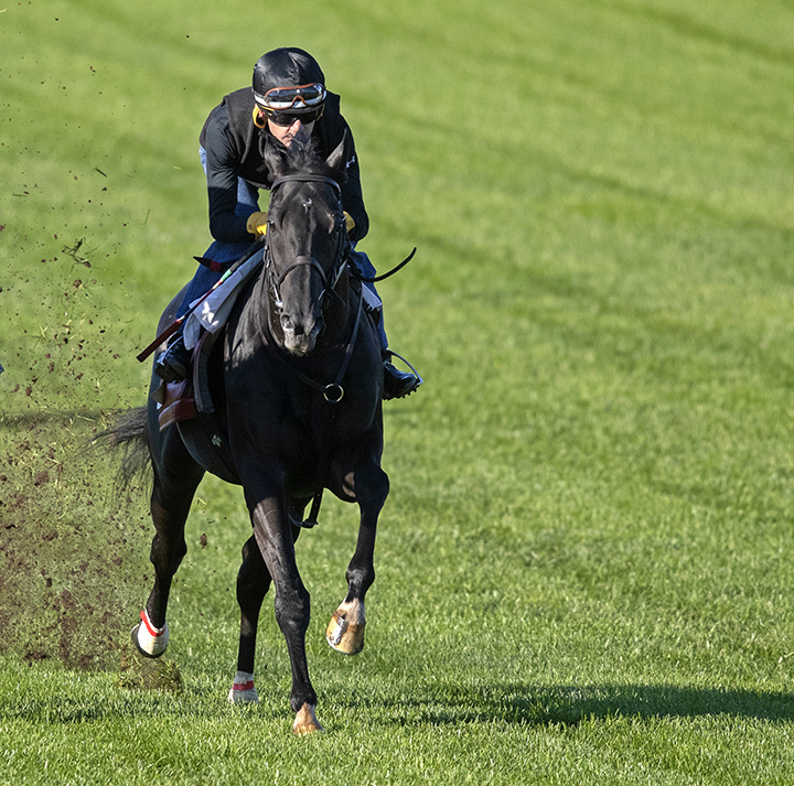Quarteto de Cordas trains at Churchill on Oct. 23
